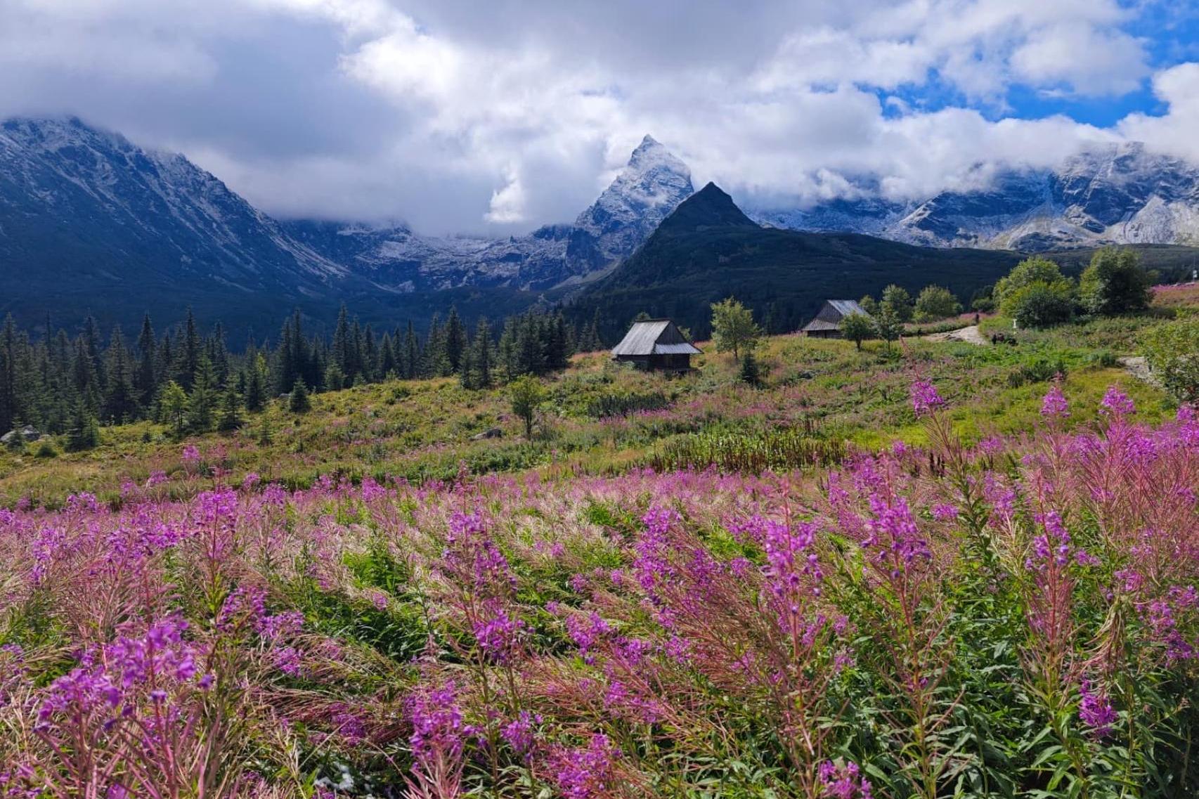 Po opadach śniegu w Tatrach ocieplenie. Na szlakach tłumy turystów