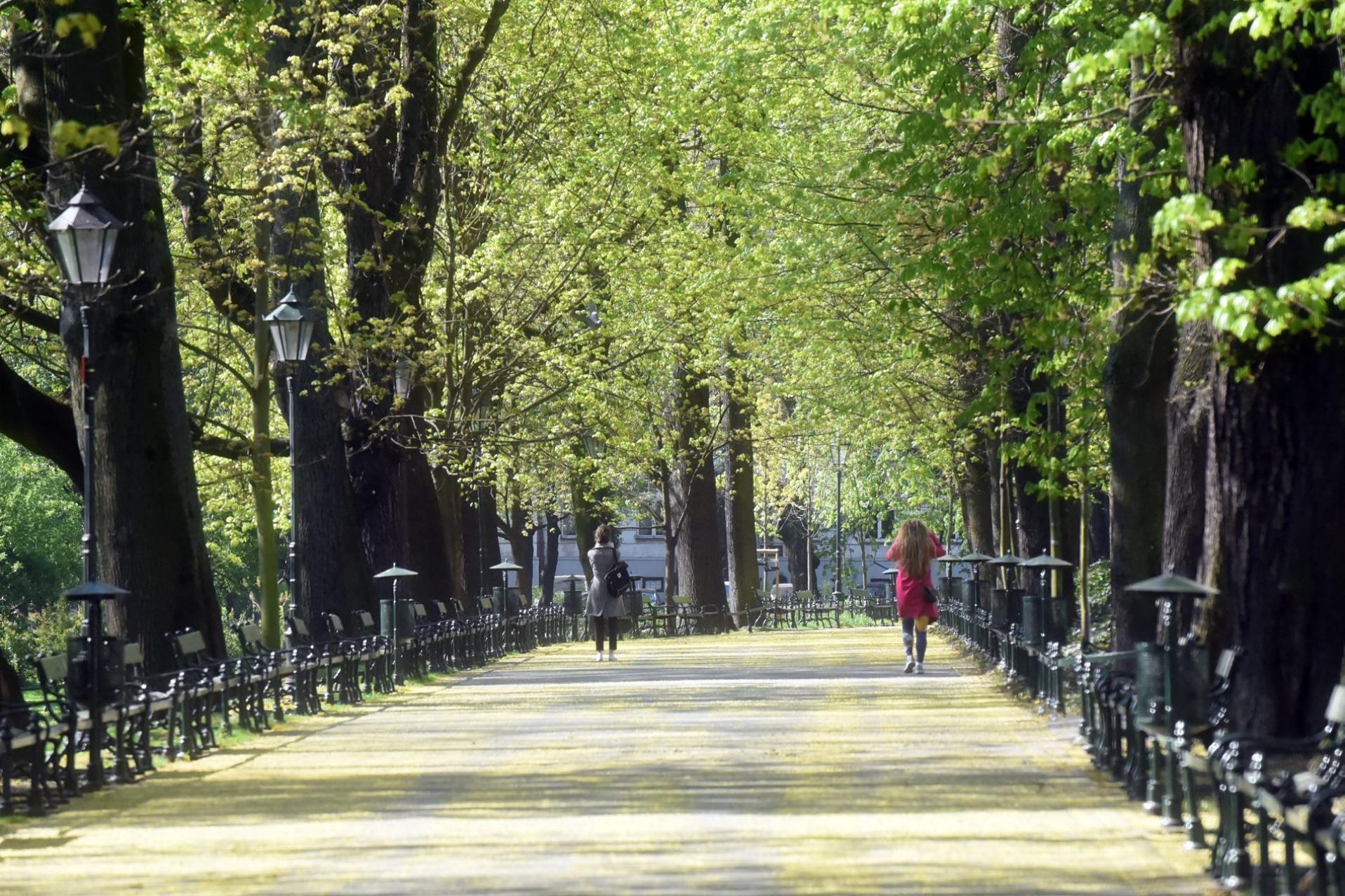 Symbol Krakowa przejdzie modernizację. Co zmieni się na Plantach?