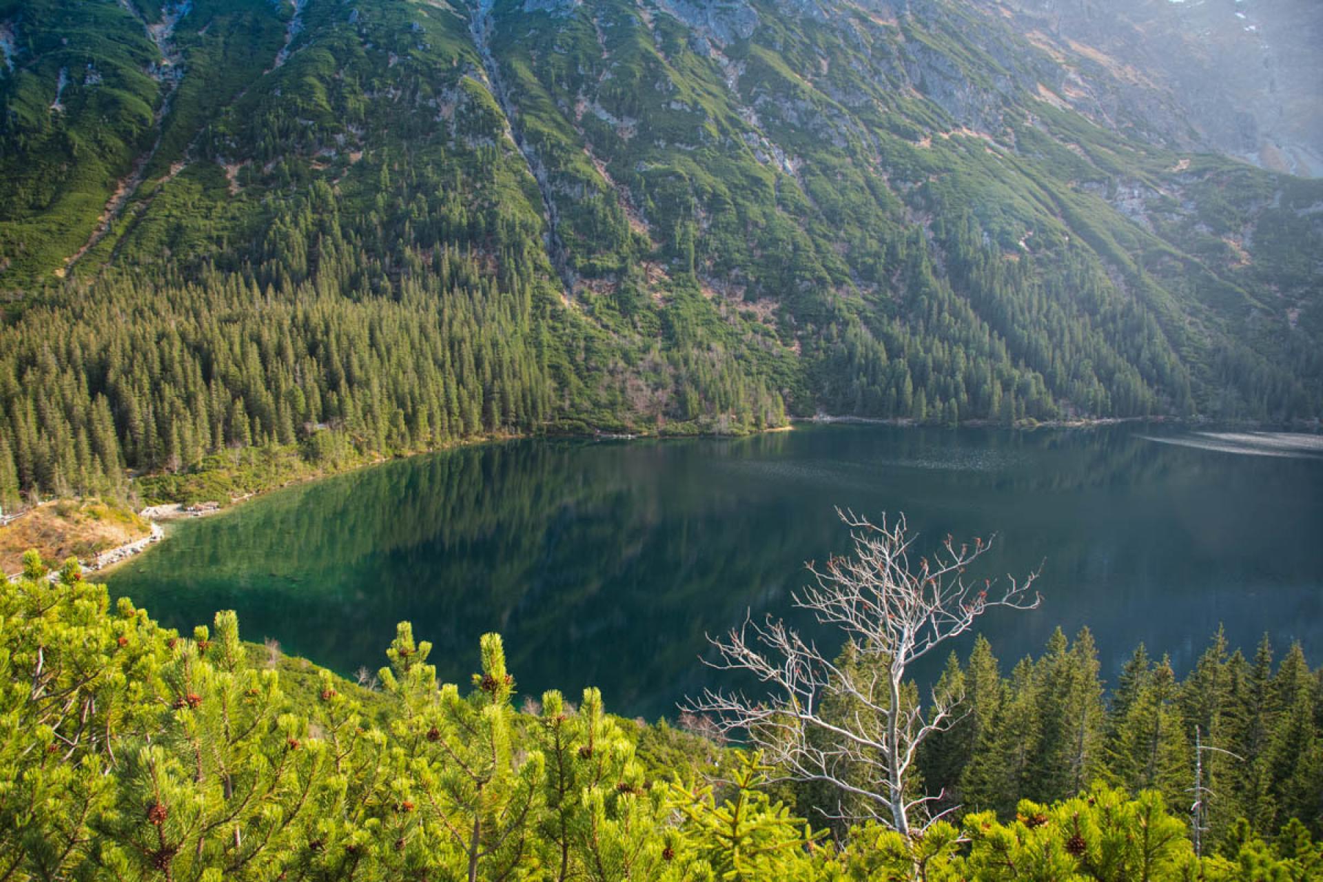 Wyznania miłości, inicjały i wulgaryzmy to prawdziwa plaga na tatrzańskich skałach