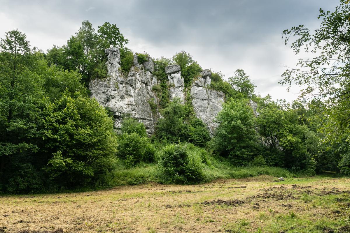Odkryj powiat krakowski po swojemu! Startuje cykl bezpłatnych wycieczek z Lokalną Organizacją Turystyczną ?Pod Krakowem?