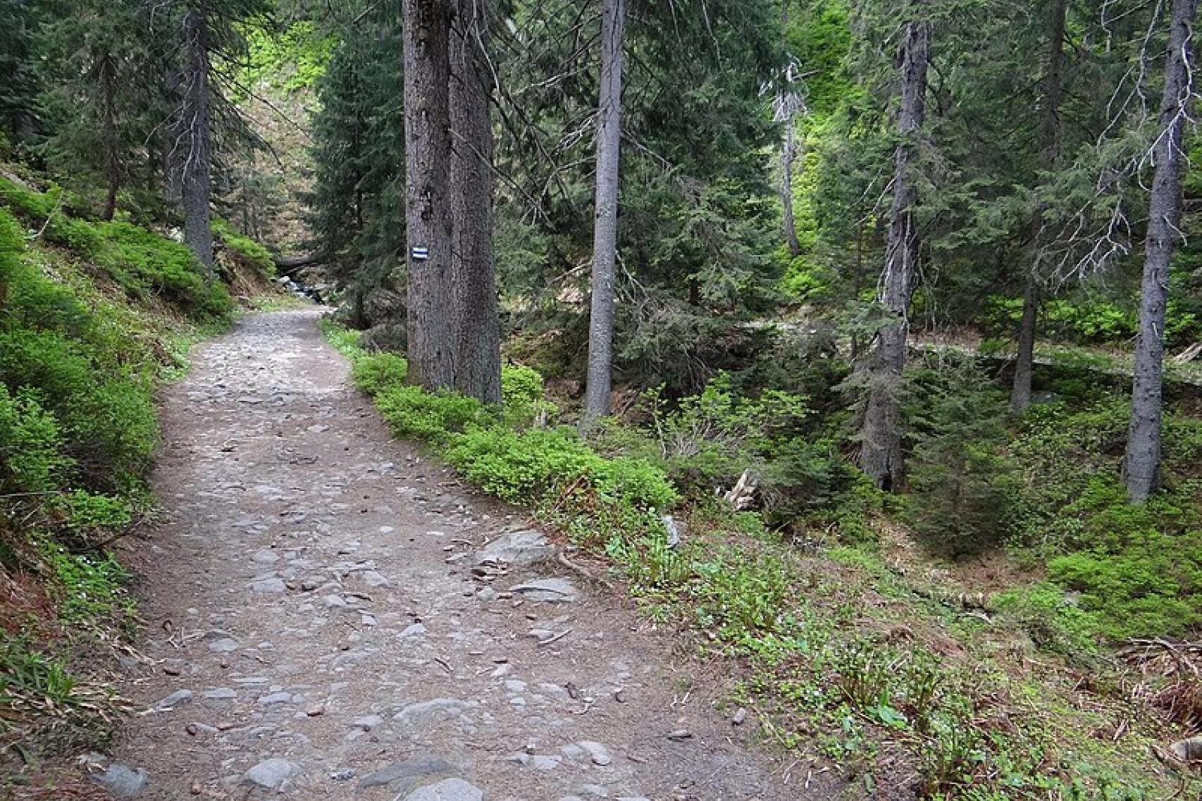 Górny Płaj na Babiej Górze nie zostanie zamknięty 1 września
