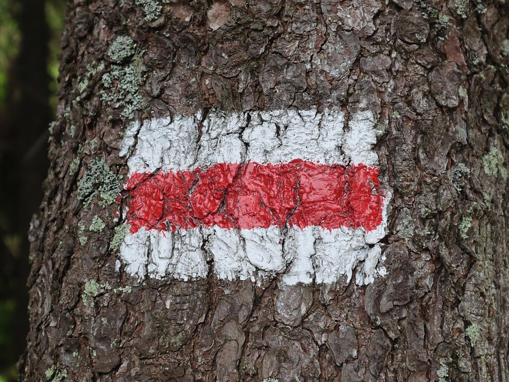 Do połowy września na szlakach Sądecczyzny będzie można spotkać znakarzy