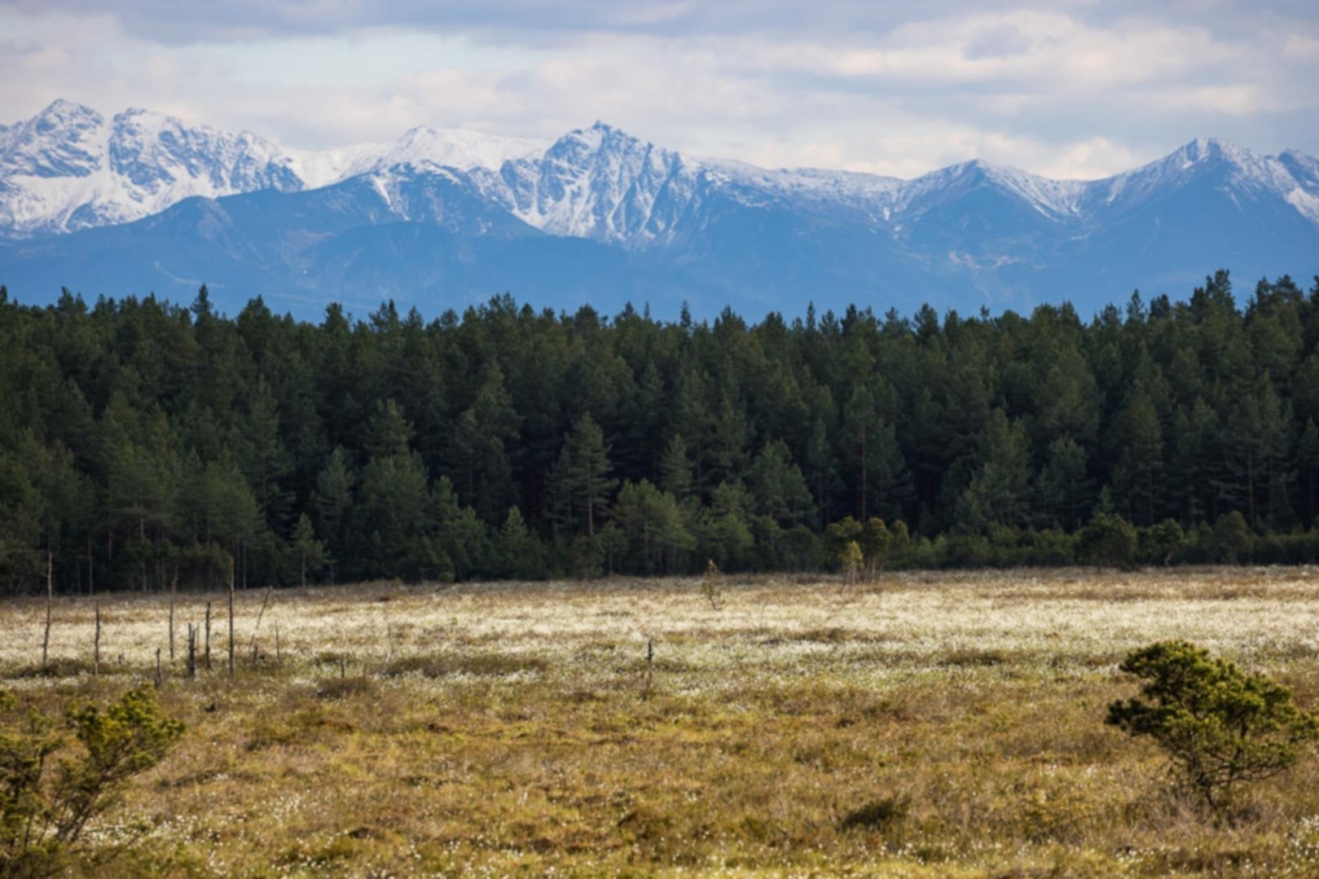 Pier Giorgio Frassati - ?zwyczajny święty?. "Żyć nie wegetować" - reportaż Anny Łoś