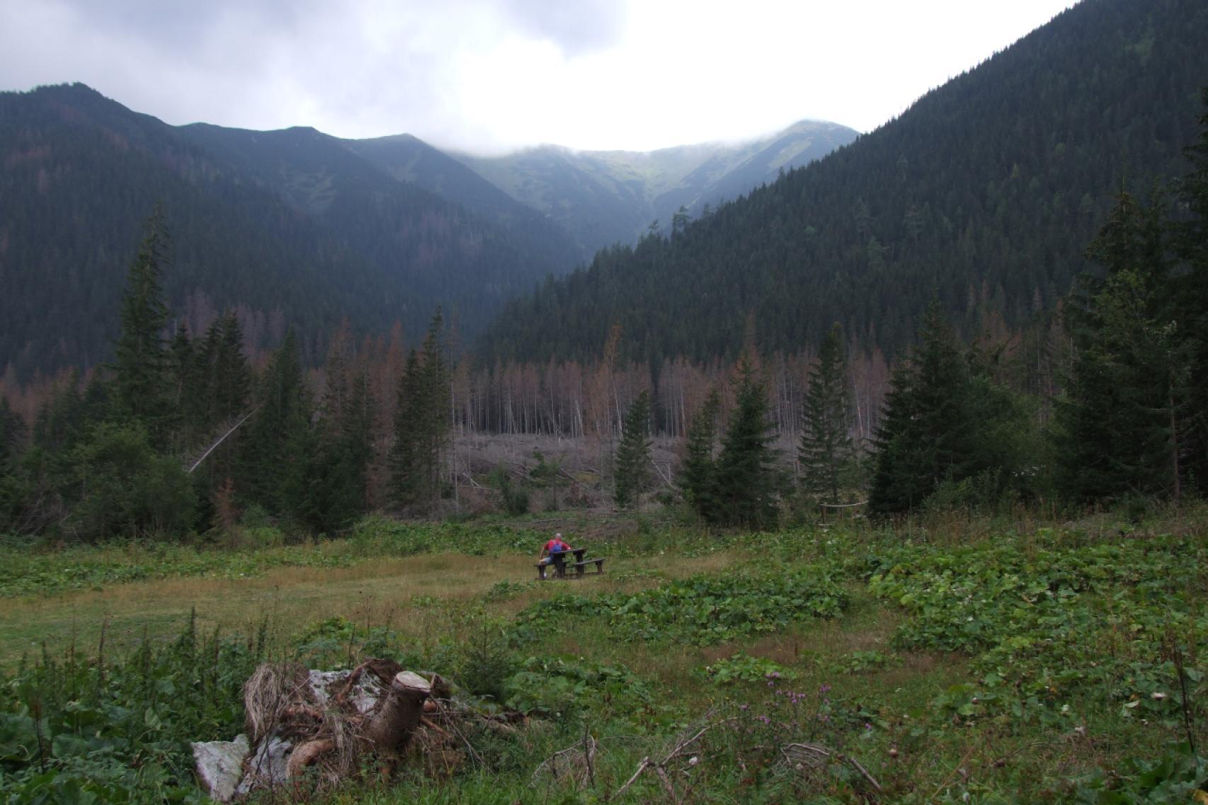 Szeroko zakrojona akcja poszukiwawcza ? turysta biwakował w namiocie