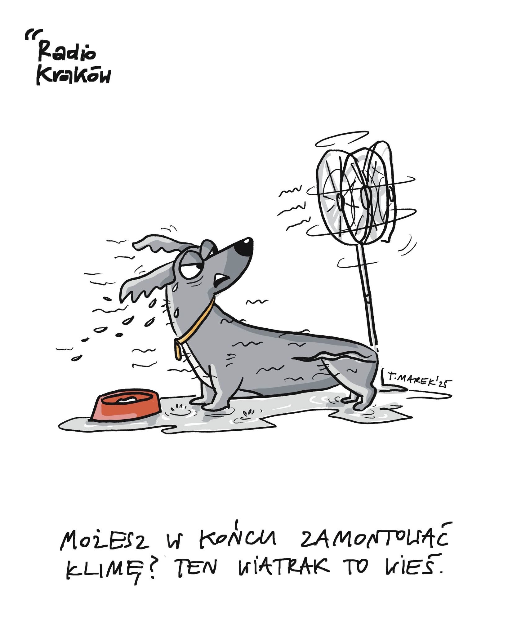 Jamnika Krakowskiego rysował Tadeusz Marek