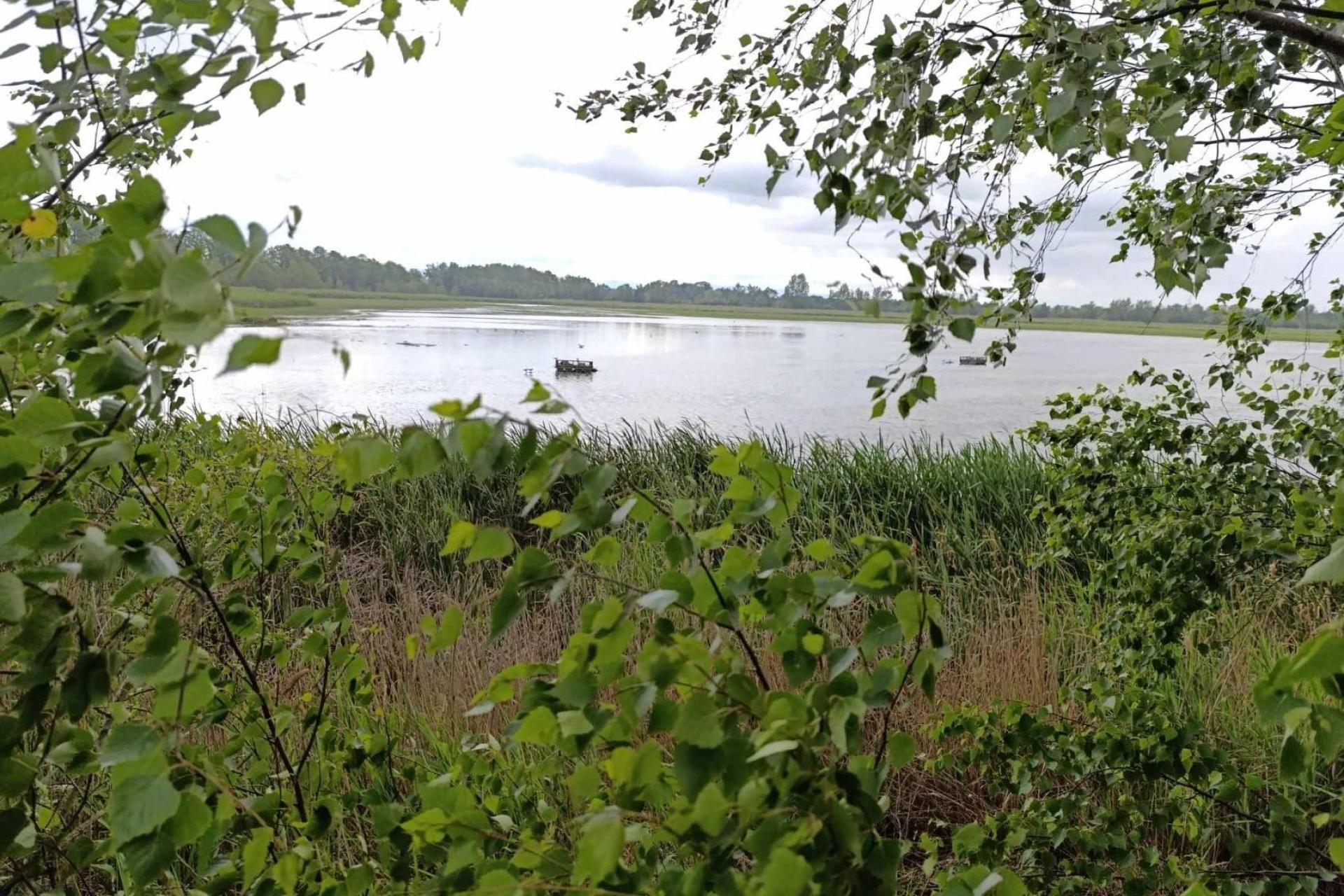 Spór o Stawy Adolfińskie w Oświęcimiu. Tym razem chodzi o badania geologiczne