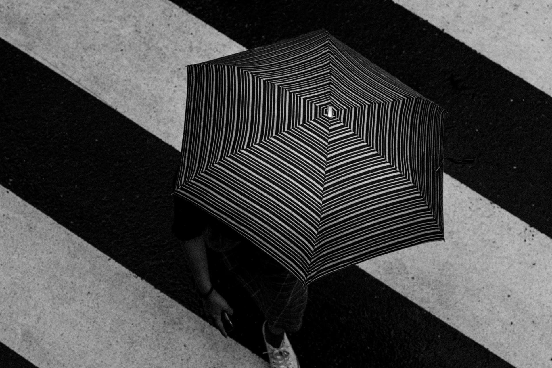 Synoptyk IMGW: od czwartku pochmurno, z intensywnymi opadami deszczu i silnym wiatrem