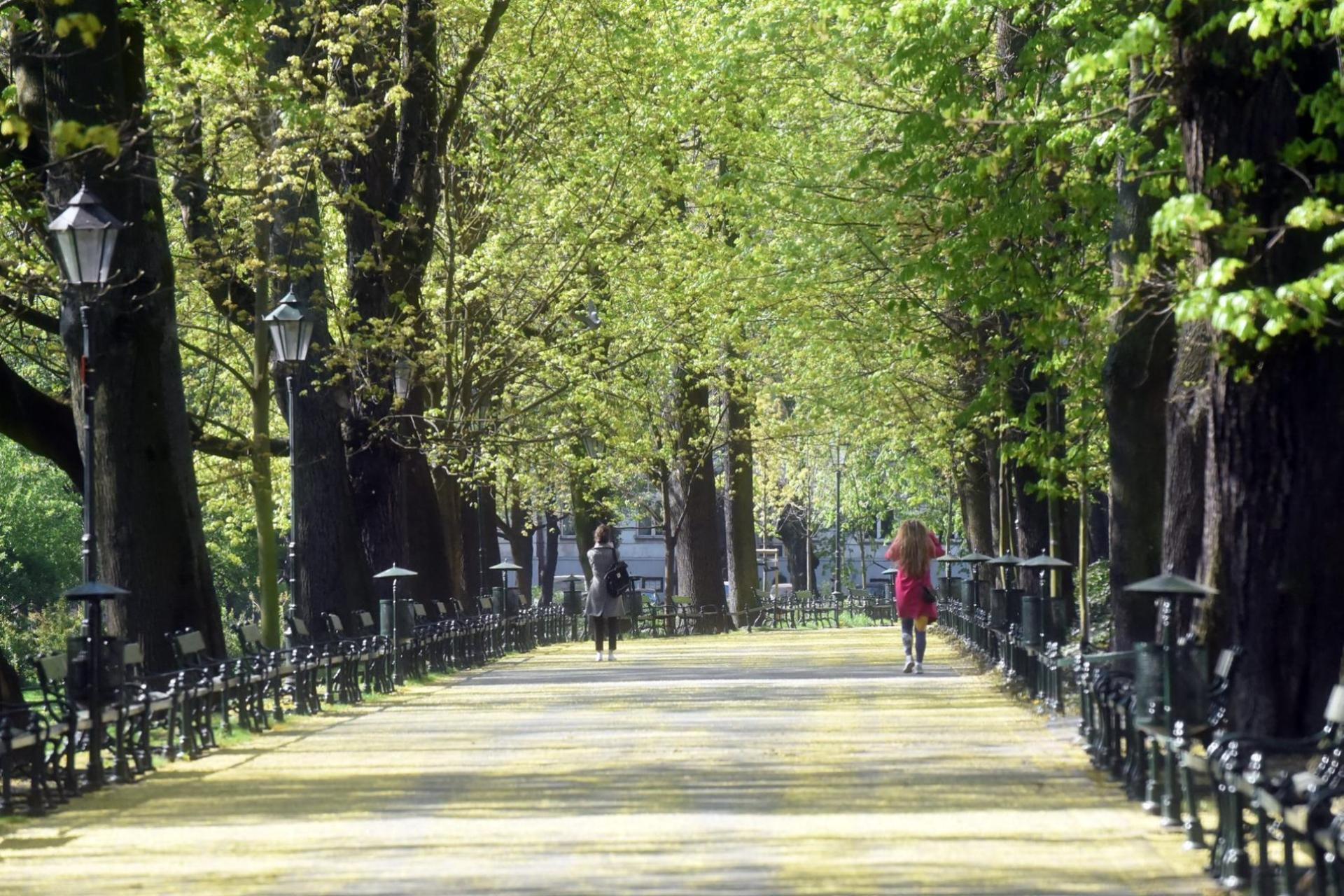 Co za nowina! Planty Krakowskie będą remontowane, w październiku umowa z wykonawcą