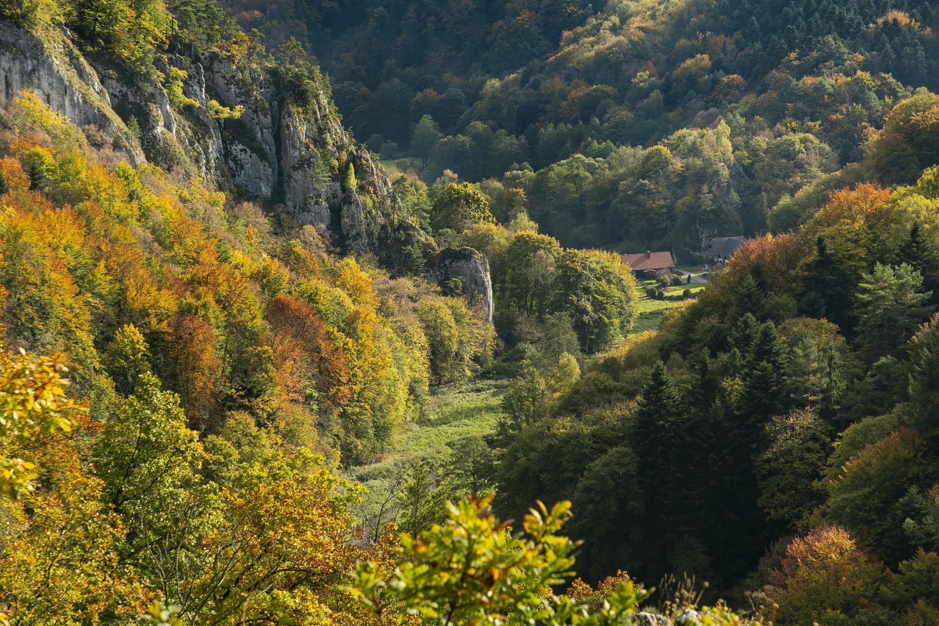 Poznaj tajemnice Doliny Prądnika! Bezpłatny spacer z przewodnikiem