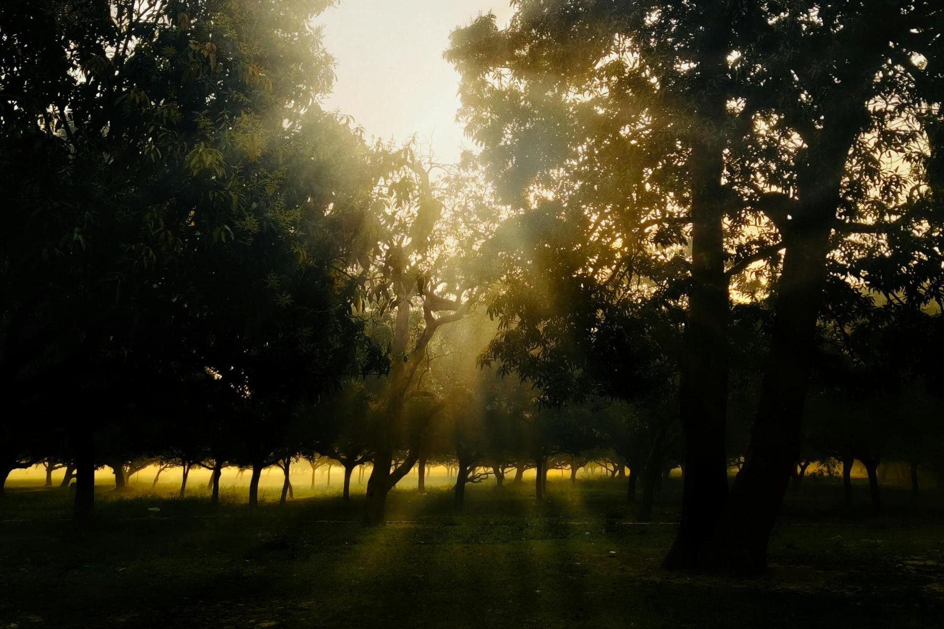 Pogoda na weekend w Małopolsce: będzie upalnie!