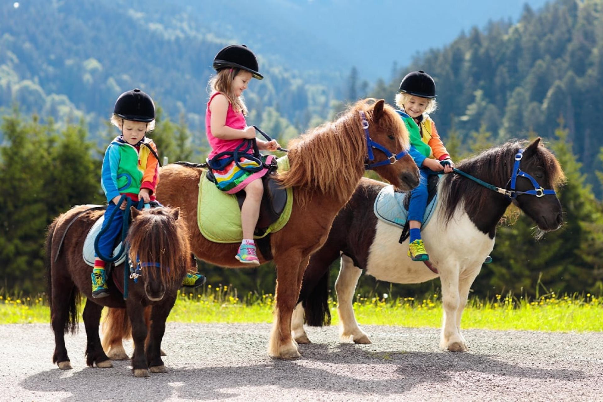 Wywołaj jesienne zdjęcia dzieci, zakochanych lub zwierząt z UwolnijKolory!