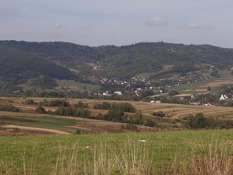 Okrajnik (fot. Jerzy Opioła/Wikipedia)