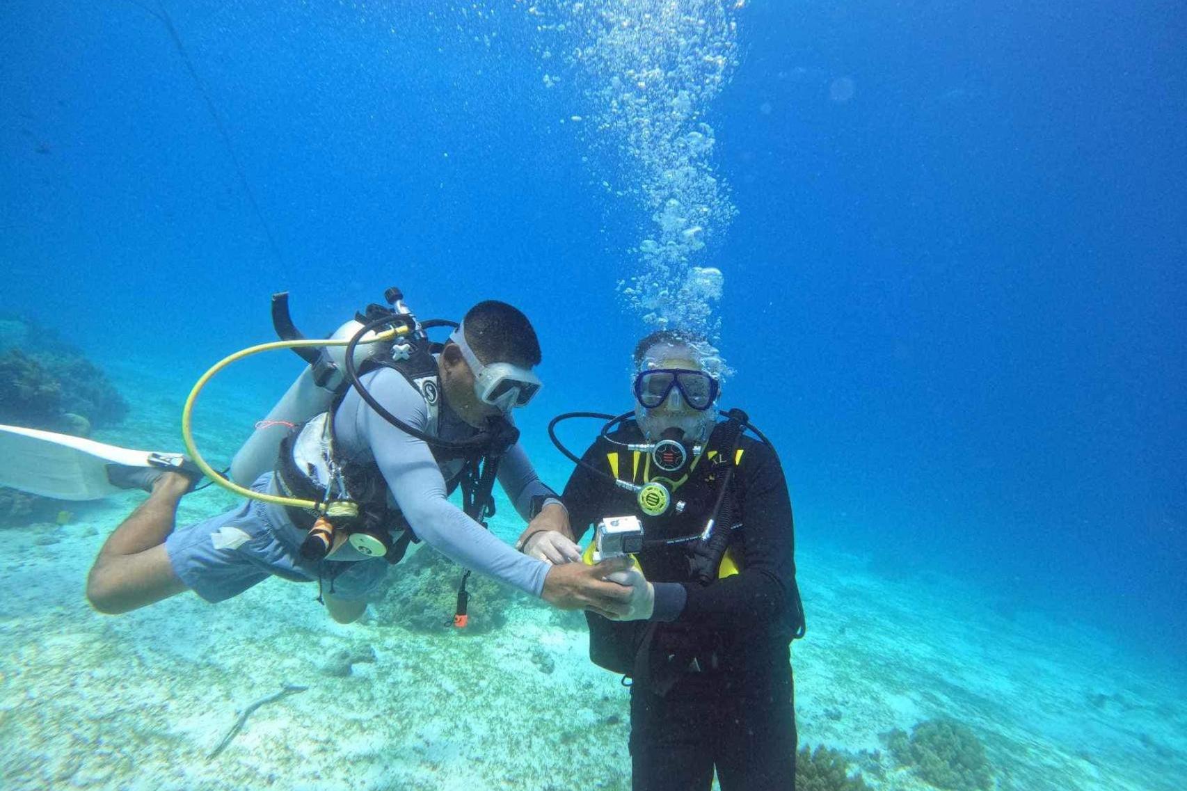 Co niewidomi nurkowie widzą pod wodą?