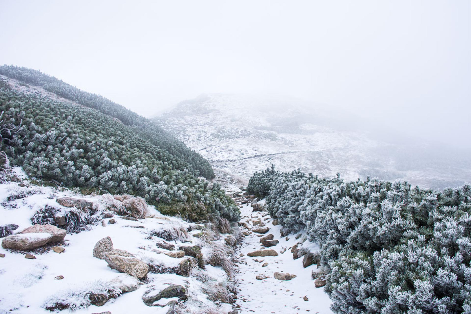 W Tatrach będzie wiał halny. Apel do turystów