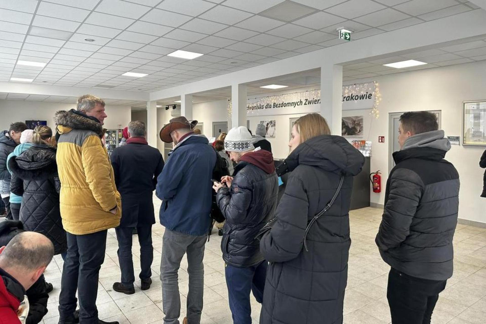 Kryzys w krakowskim schronisku. Pracownicy mówią o mobbingu i niskich pensjach, KTOZ odpowiada