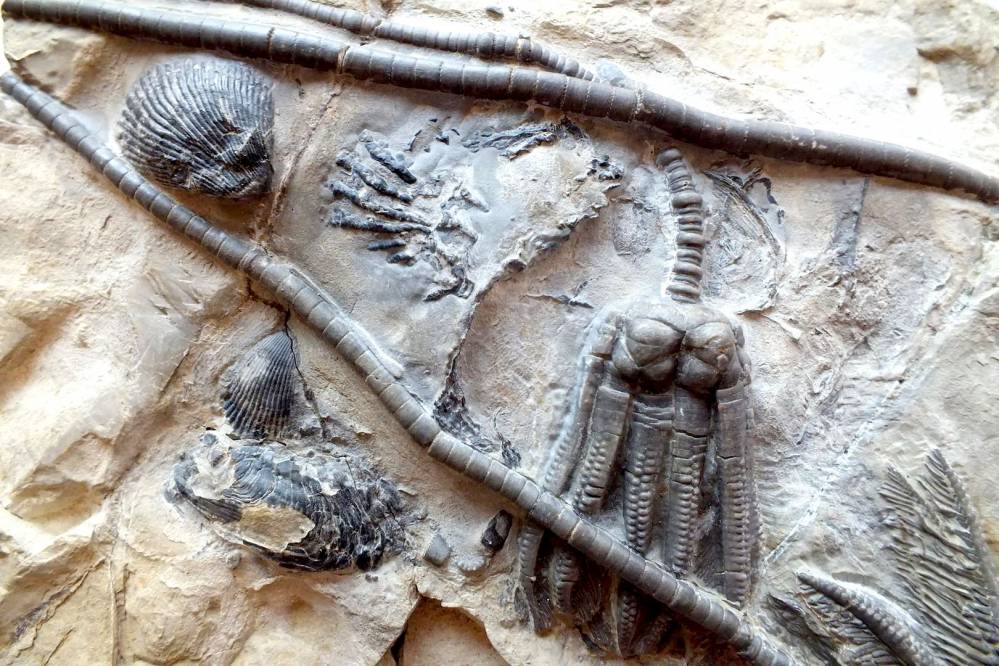 Geosfera, fot. CDPGŚ