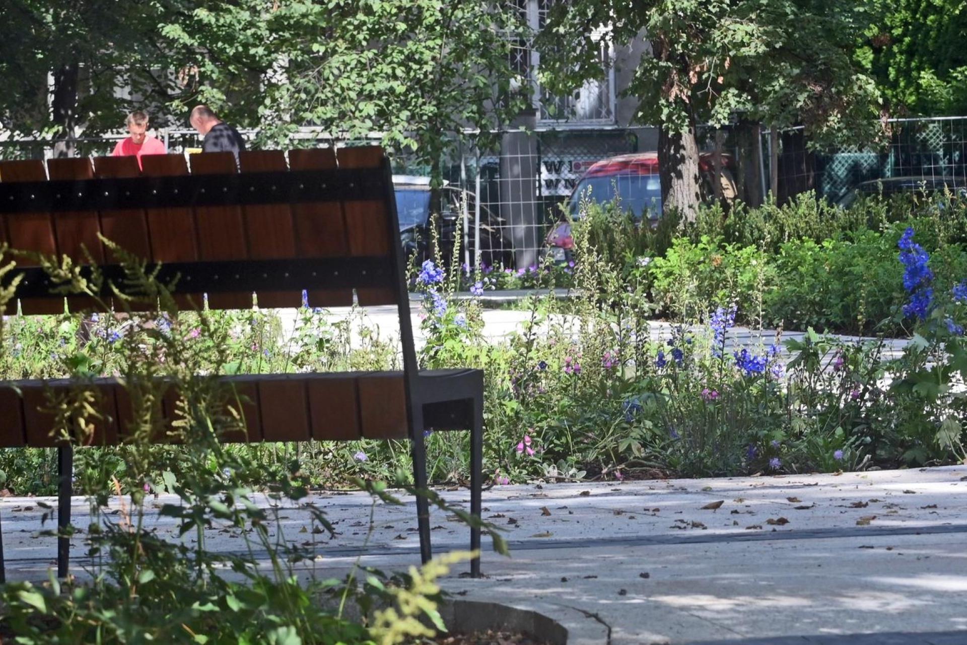 Afrykańskie drewno za milion złotych próchnieje w Krakowie?