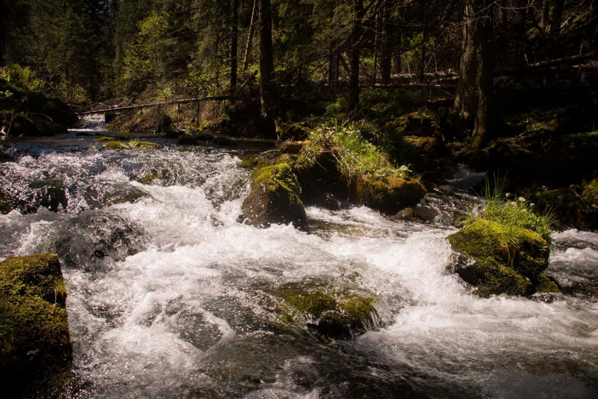W woreczek, a nie do lasu... Turyści w Tatrach chętnie sięgają po woreczki toaletowe