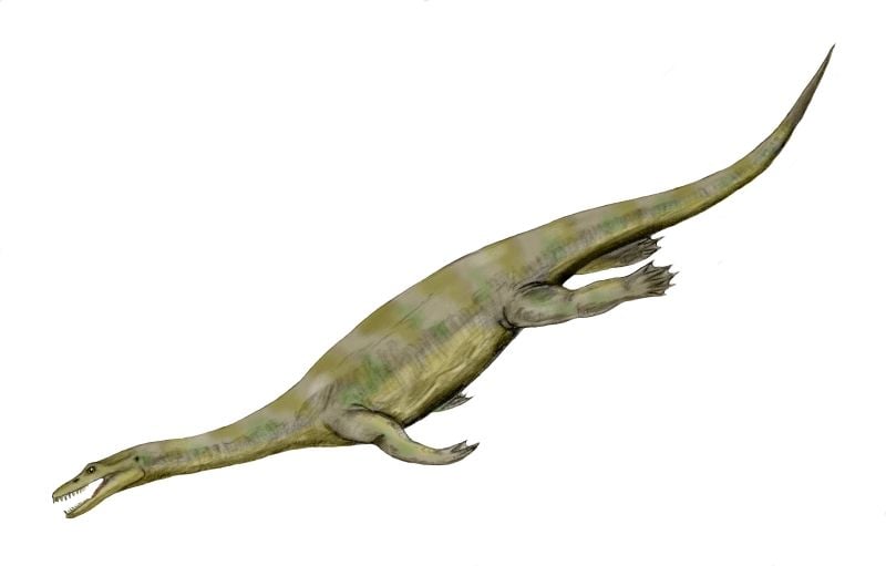 Nothosaurus (rekonstrukcja) - fot. Nobu Tamura/Wikipedia 