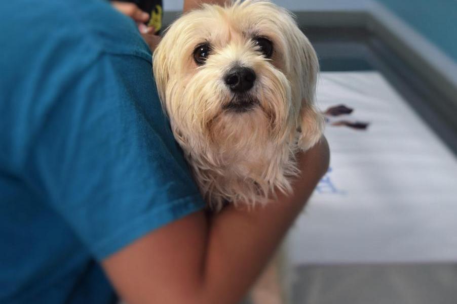 KTOZ zapowiada podwyżki i zwiększenie zatrudnienia. Związkowcy odpowiadają: "To za mało"