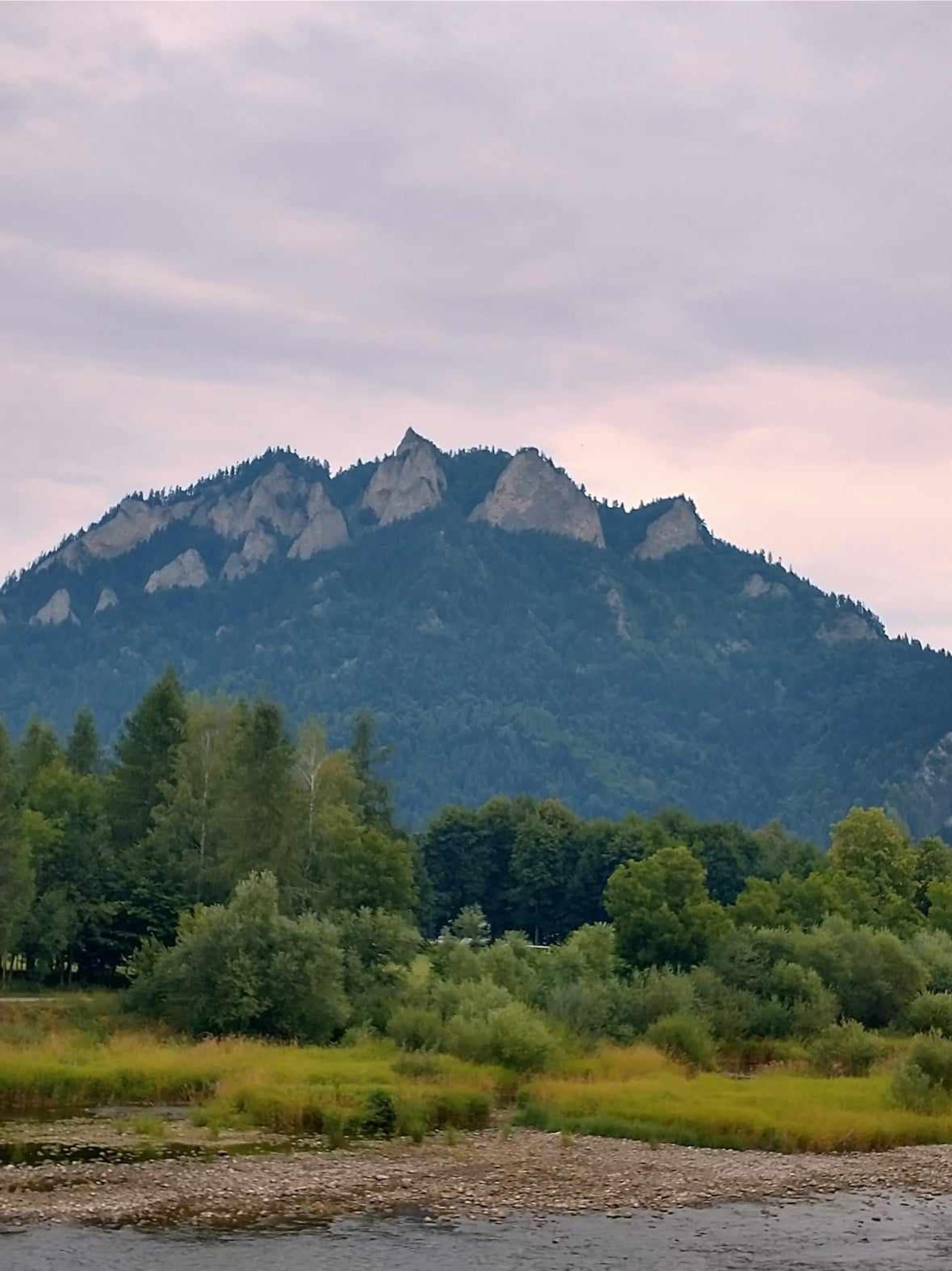 Biologiczne odpady niszczą przyrodę