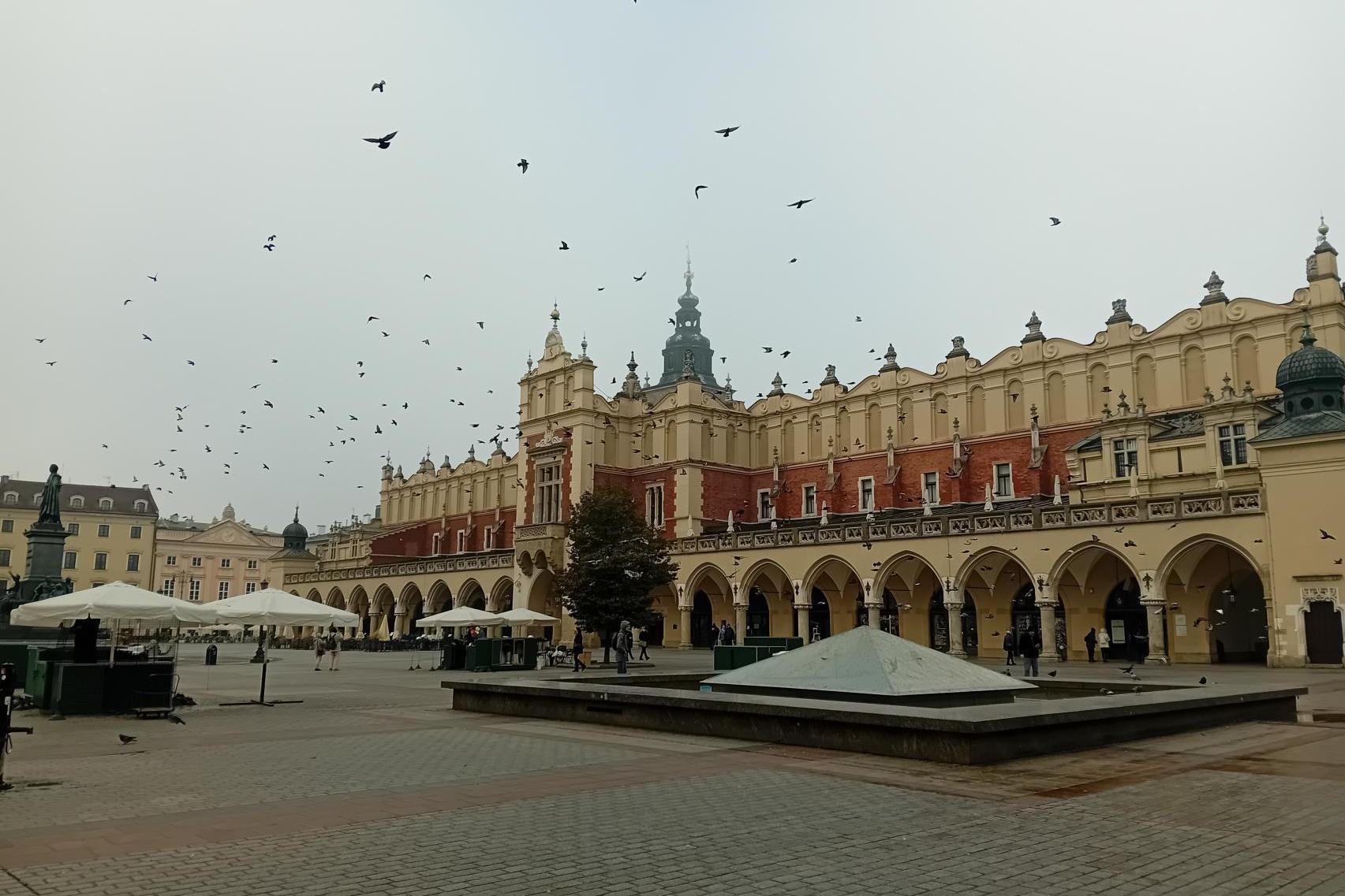 Drzewa wrócą na Rynek Główny w Krakowie w 2026 roku. ZZM: ?To nie może być inwestycja w pośpiechu?