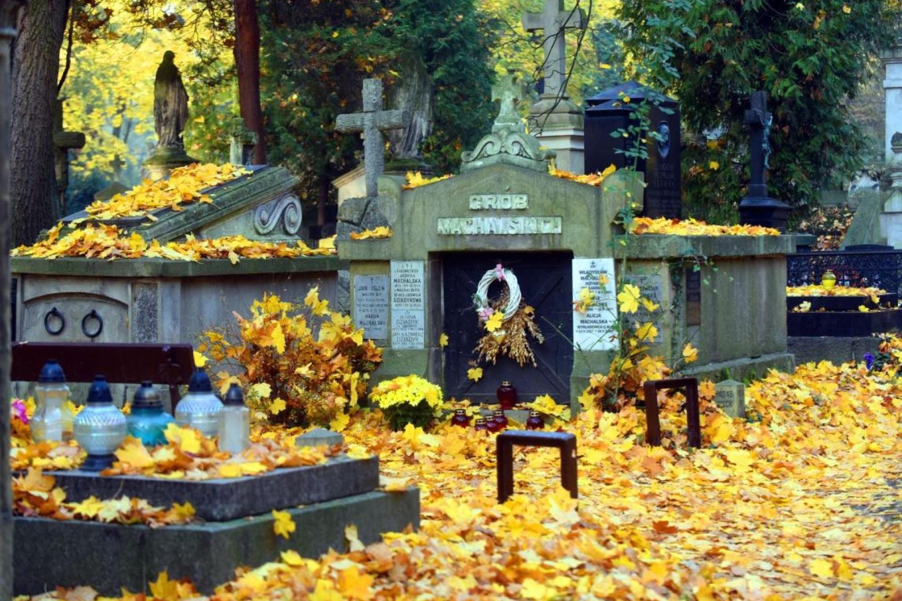 Na Wszystkich Świętych wzmocnienie komunikacji miejskiej w Krakowie.?SPRAWDŹ