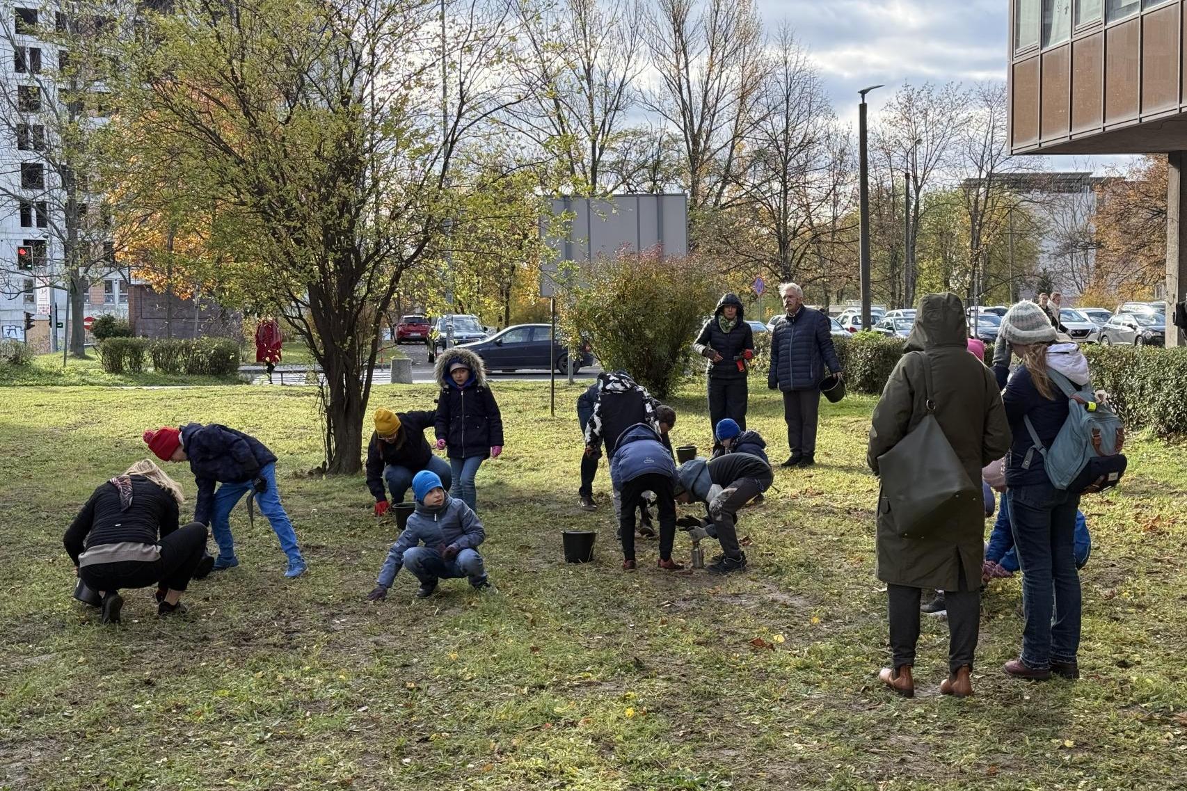 Posadzili sześć tysięcy cebulek kwiatów na Kampusie Czyżyny Politechniki Krakowskiej