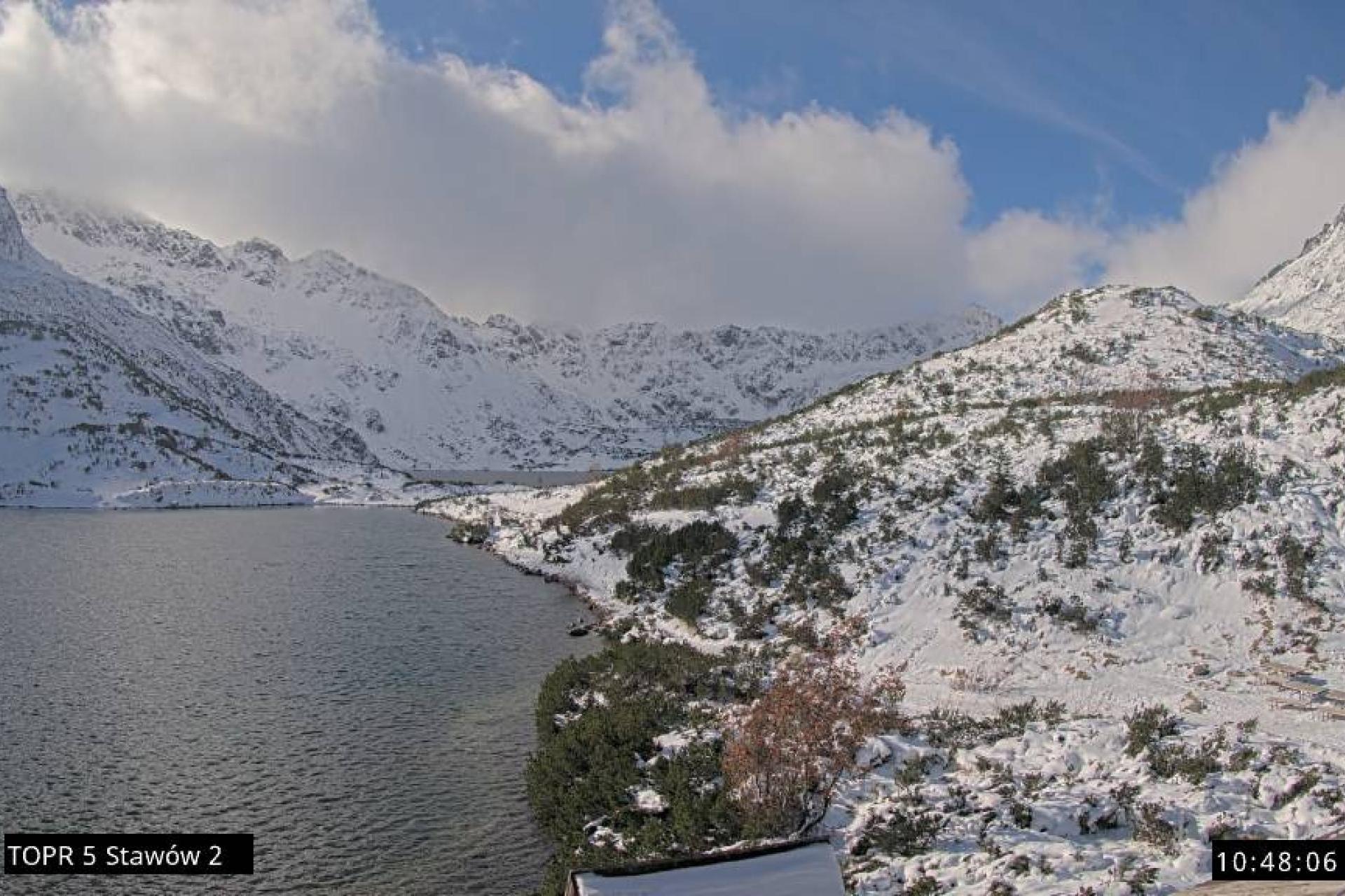 Silny wiatr utrudnia ruch turystyczny, drzewo zatarasowało drogę do Morskiego Oka