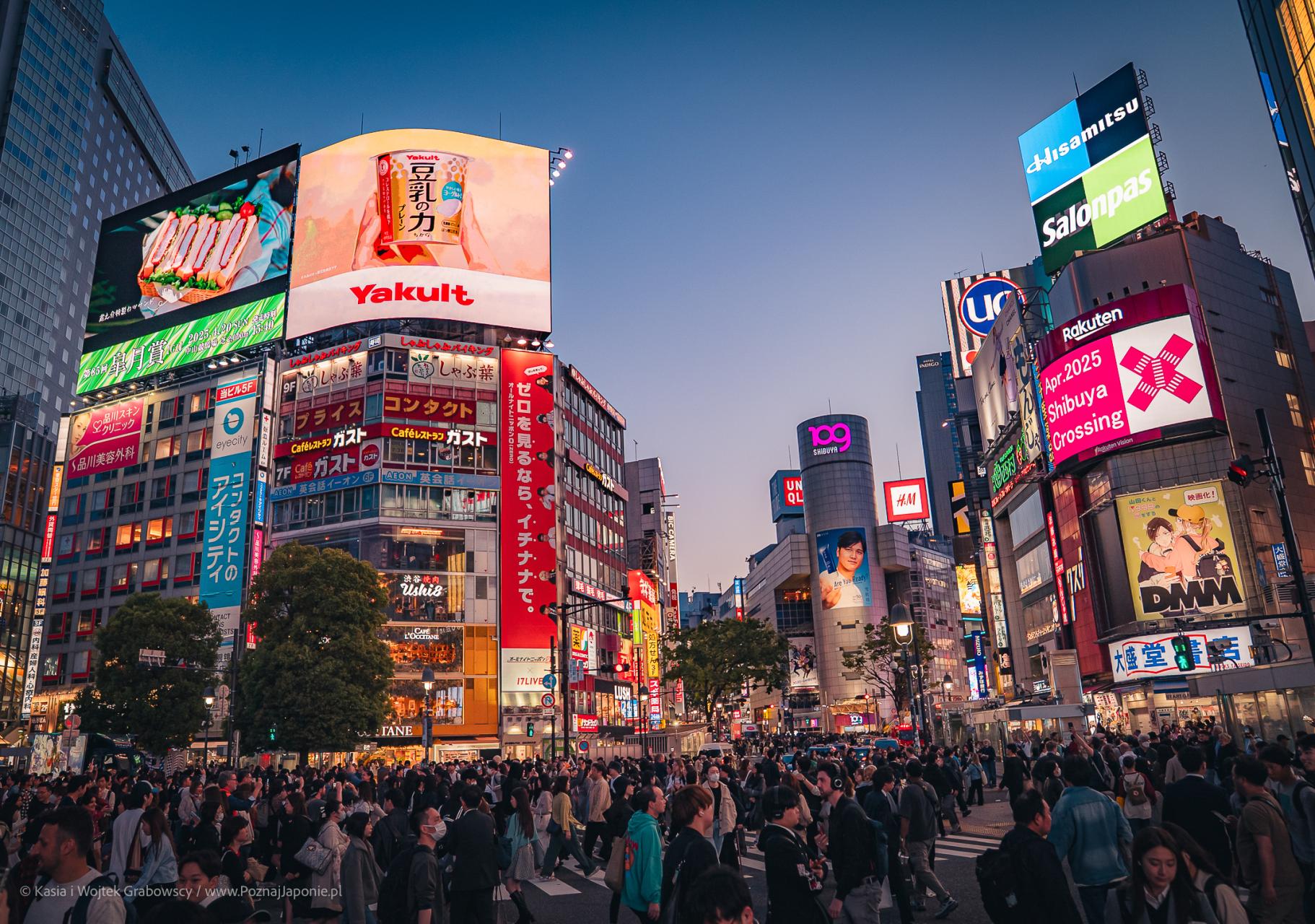 Kasia i Wojtek Grabowscy - Poznaj Japonię