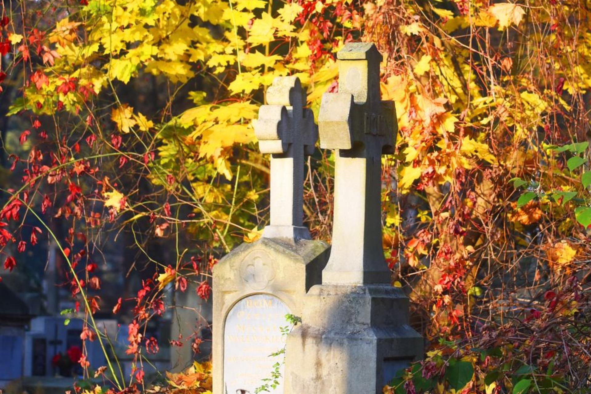 Wrzuć do puszki, uratuj zabytek. Na krakowskich cmentarzach rozpoczęły się kwesty