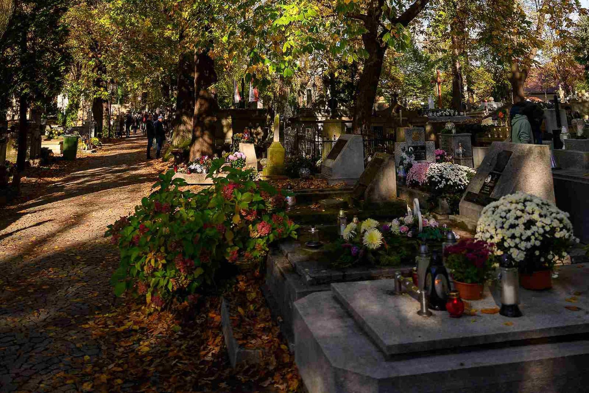 Na tarnowskie cmentarze mieszkańcy dojadą bezpłatną komunikacją