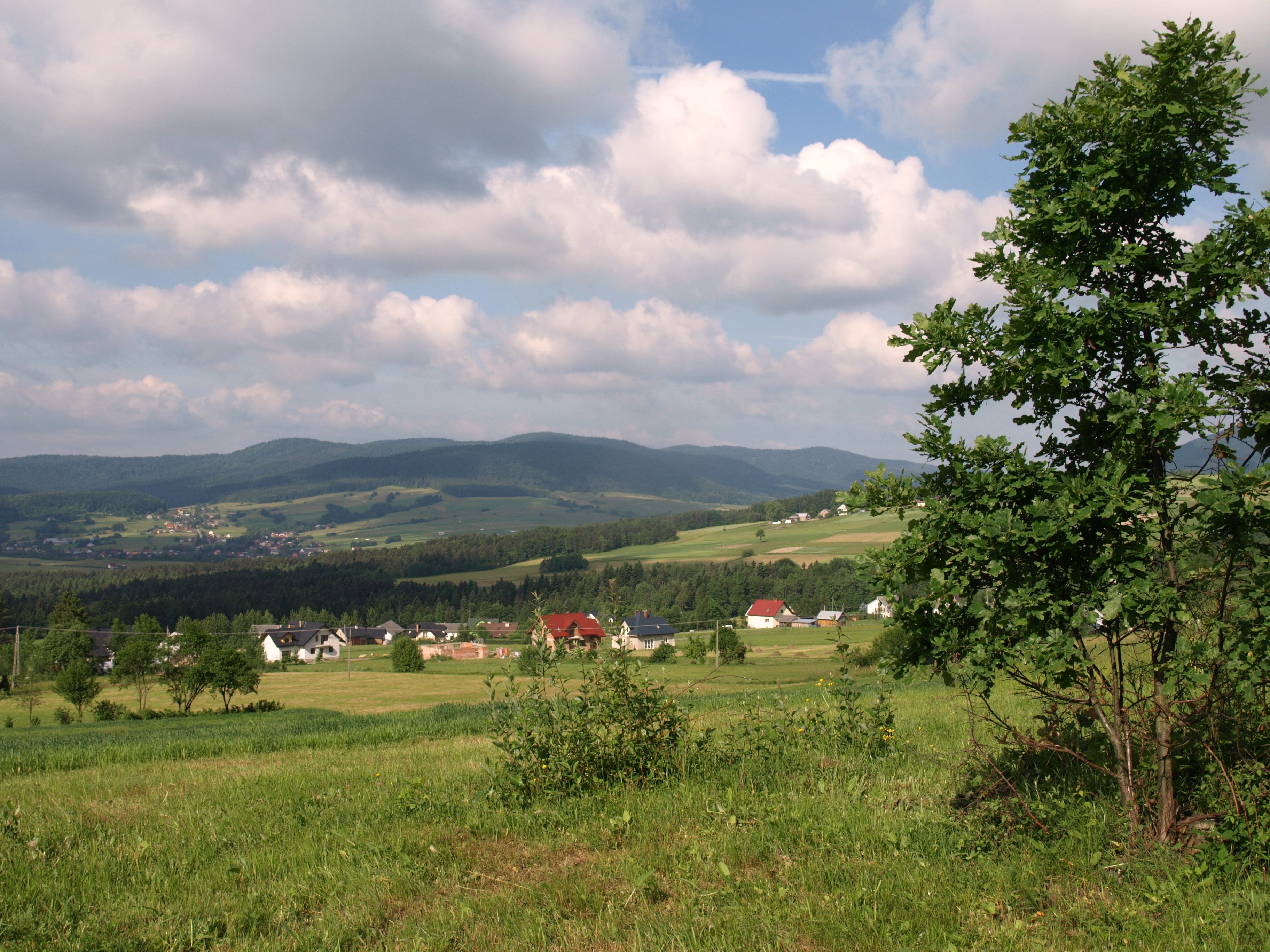 Wawrzka (fot. A.Piecuch)