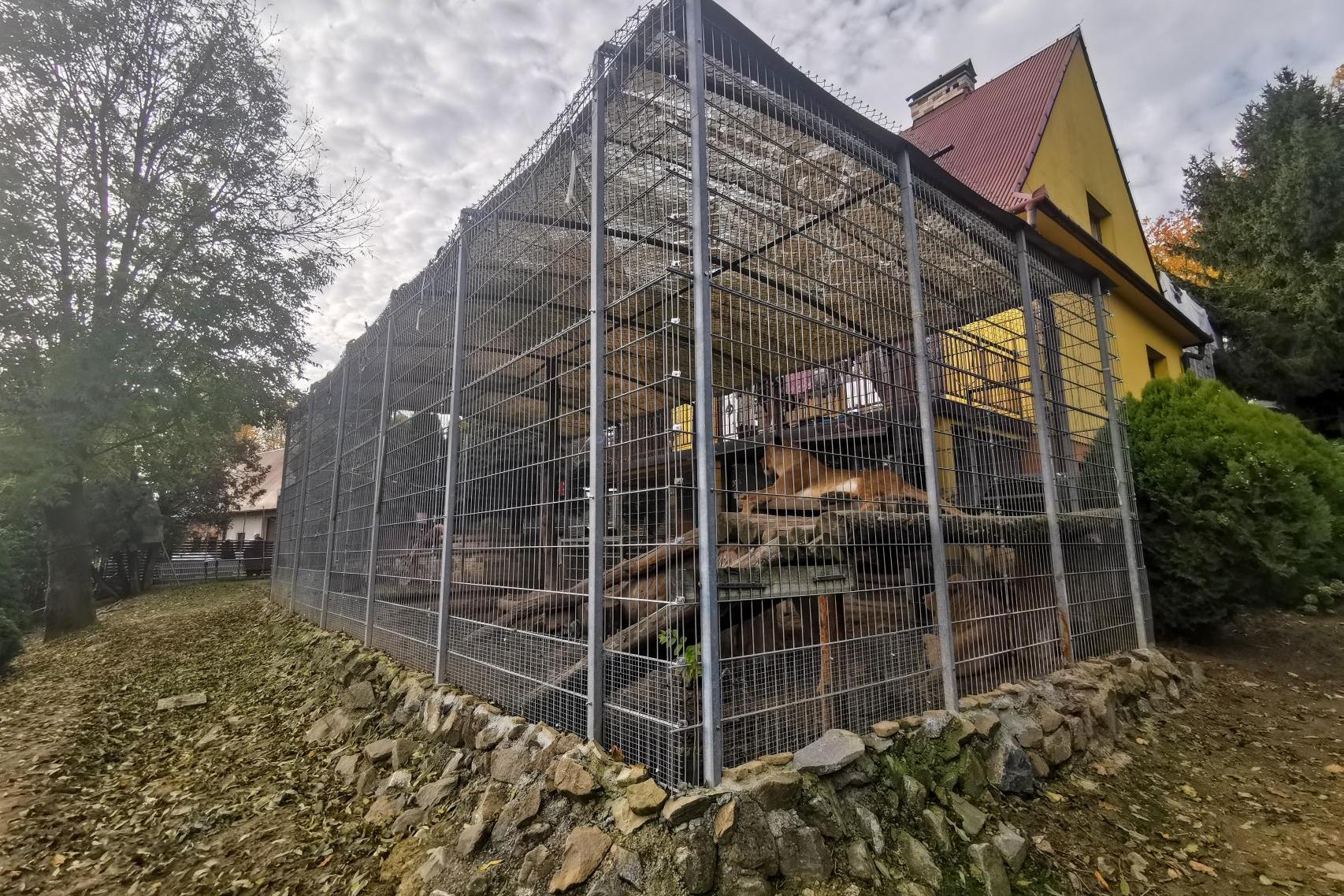 Byliśmy u lwów i tygrysów w Czchowie. "Nie dzieje im się nic złego". To wszystko wina donosu? WIDEO