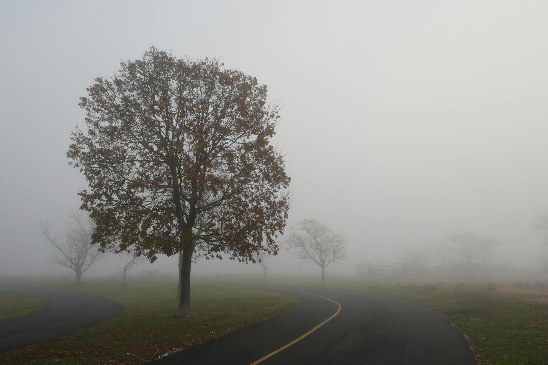 To nie będzie pogodowo miły dzień - duża wilgotność powietrza, mgły, deszcz