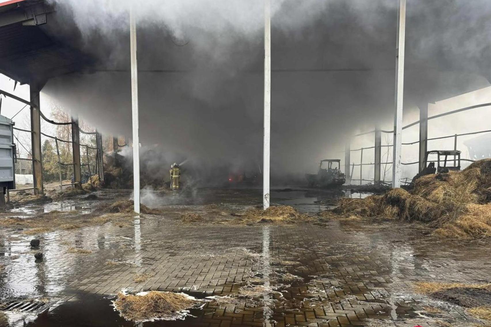 Pożar w Facimiechu został w końcu ugaszony. Spłoneły zapasy na zimę dla ponad 100 koni