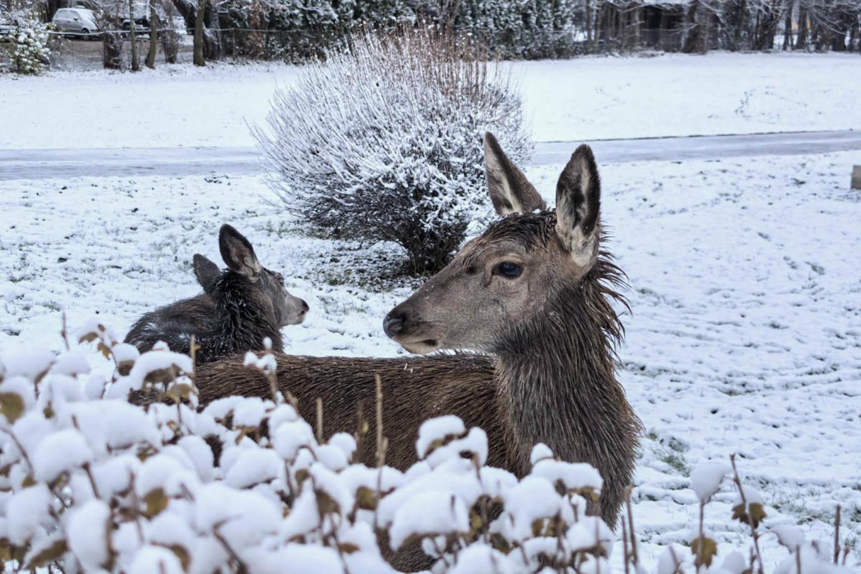 Piękny poranek na Podhalu