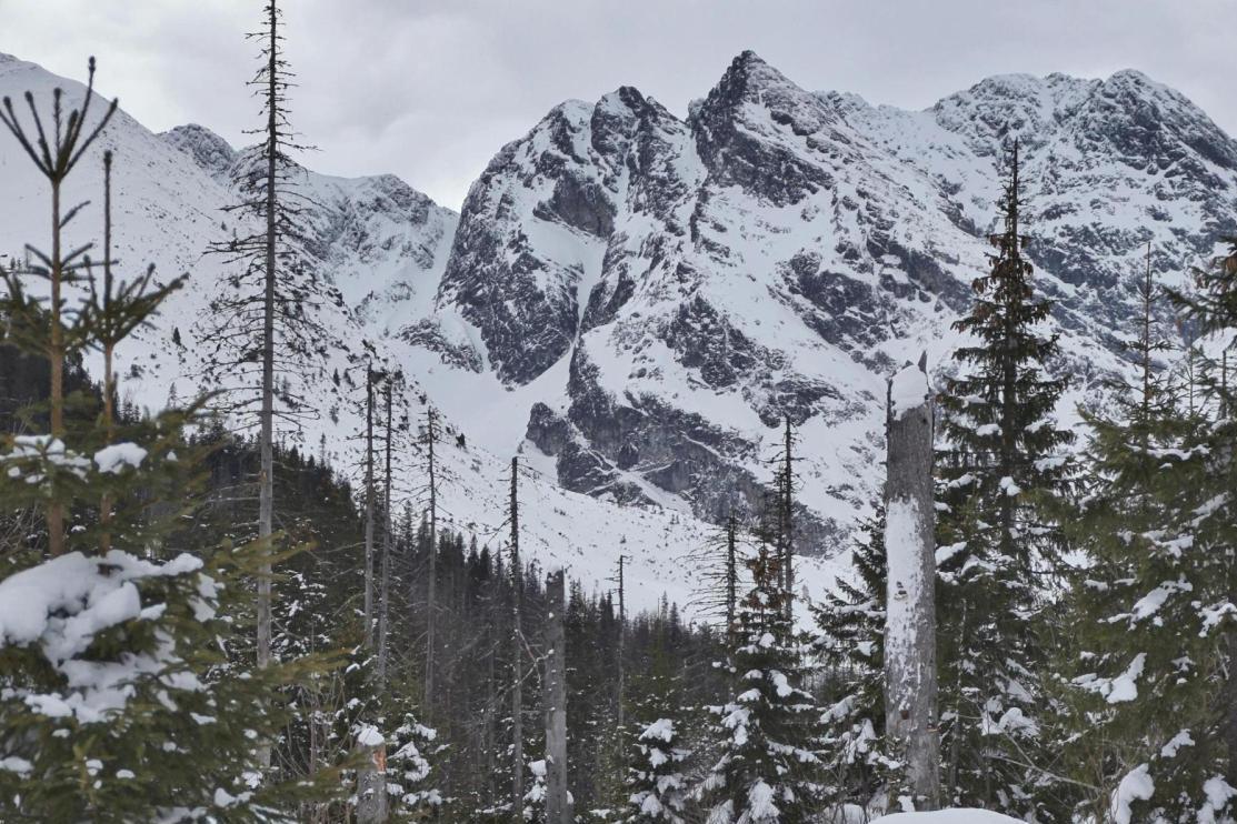 Zima w górach i kusi, żeby iść na wycieczkę? TPN odradza wyjście w wysokie partie gór