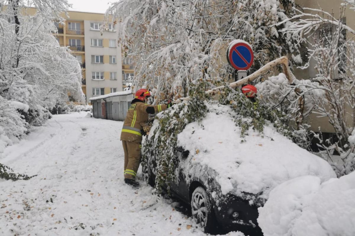 W Małopolsce sporo interwencji służb - śnieg łamał drzewa i uszkodził linie energetyczne