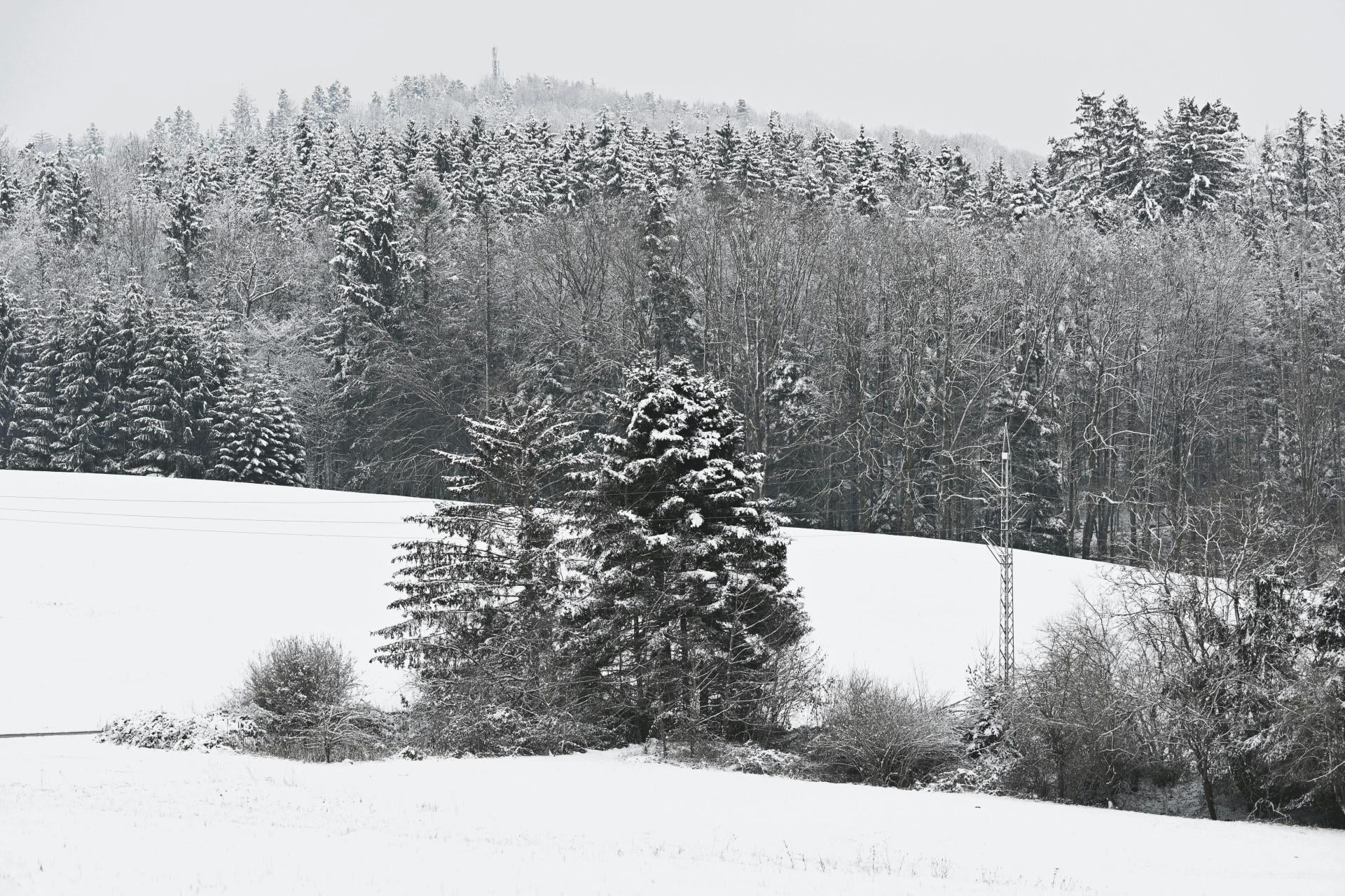 Niedziela w Małopolsce śnieżna. IMWG wydał alerty pierwszego i drugiego stopnia
