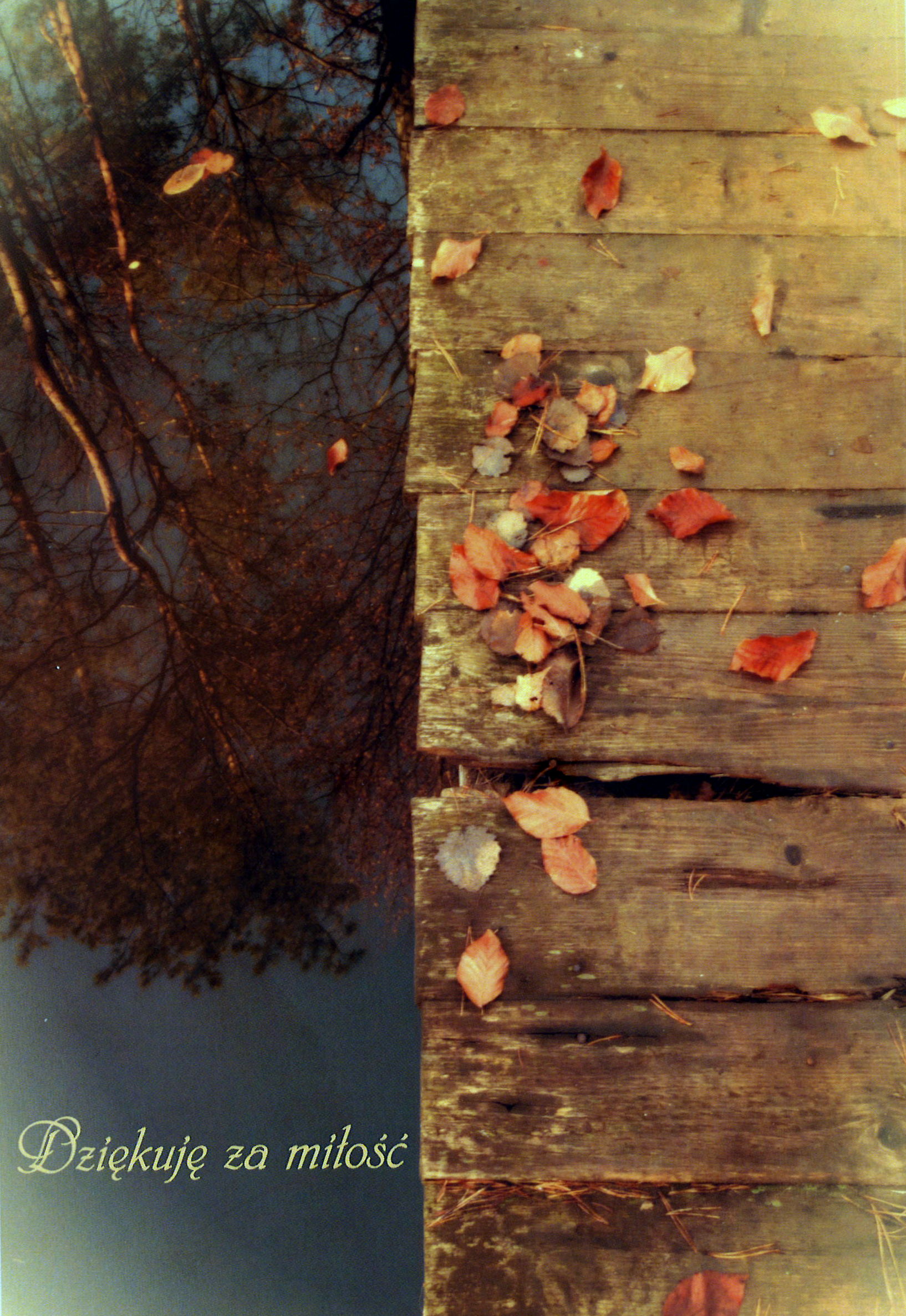 (fot. NINA CZERWIŃSKA)