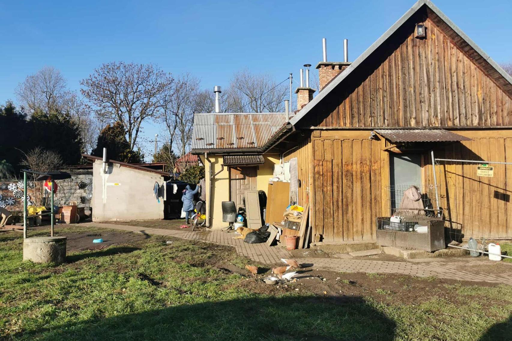 Mieszkali z 40 psami. realizowane są pilne poszukiwania nowych domów dla czworonogów