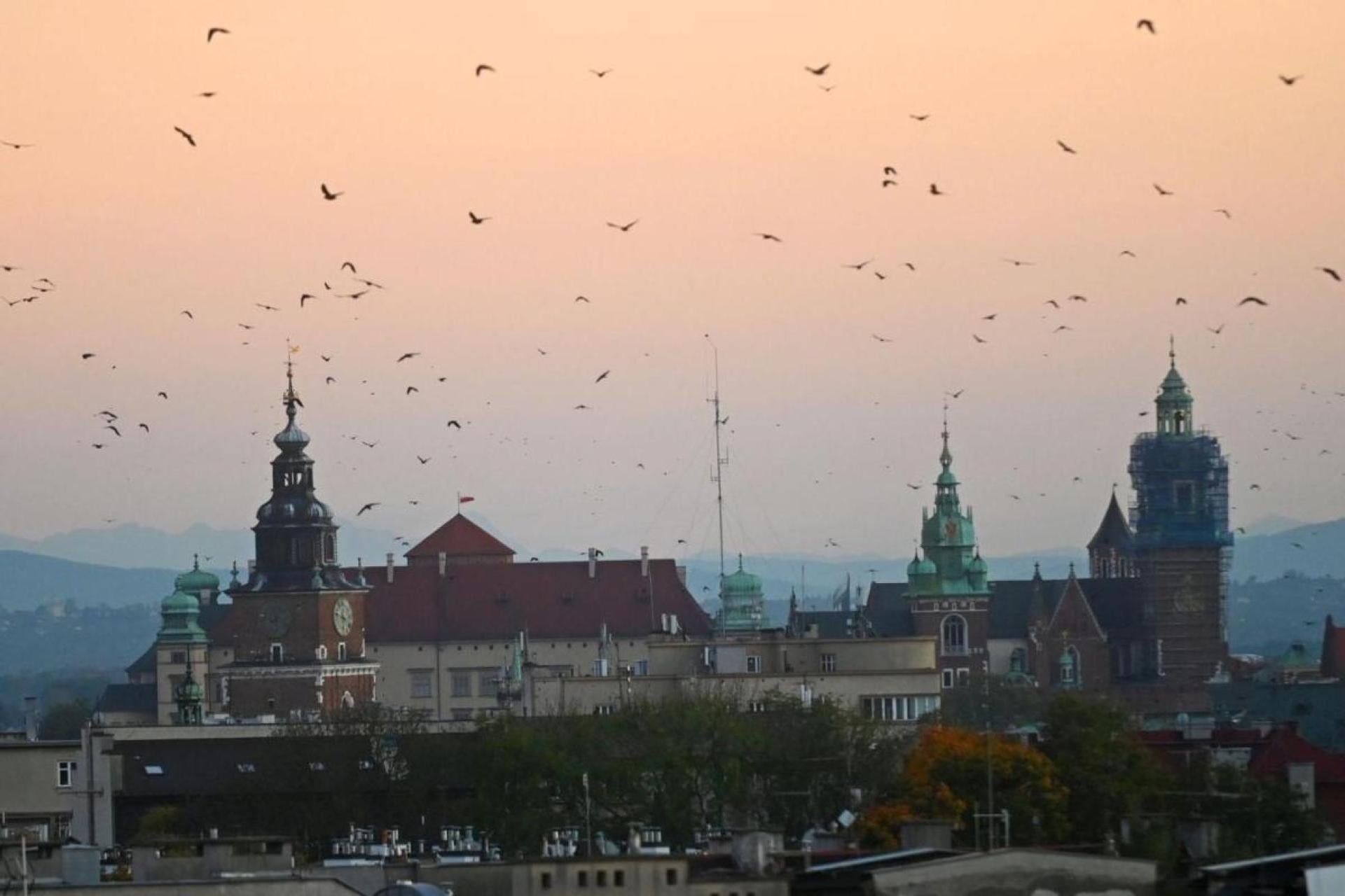 Kraków został bez miejskiego konserwatora zabytków