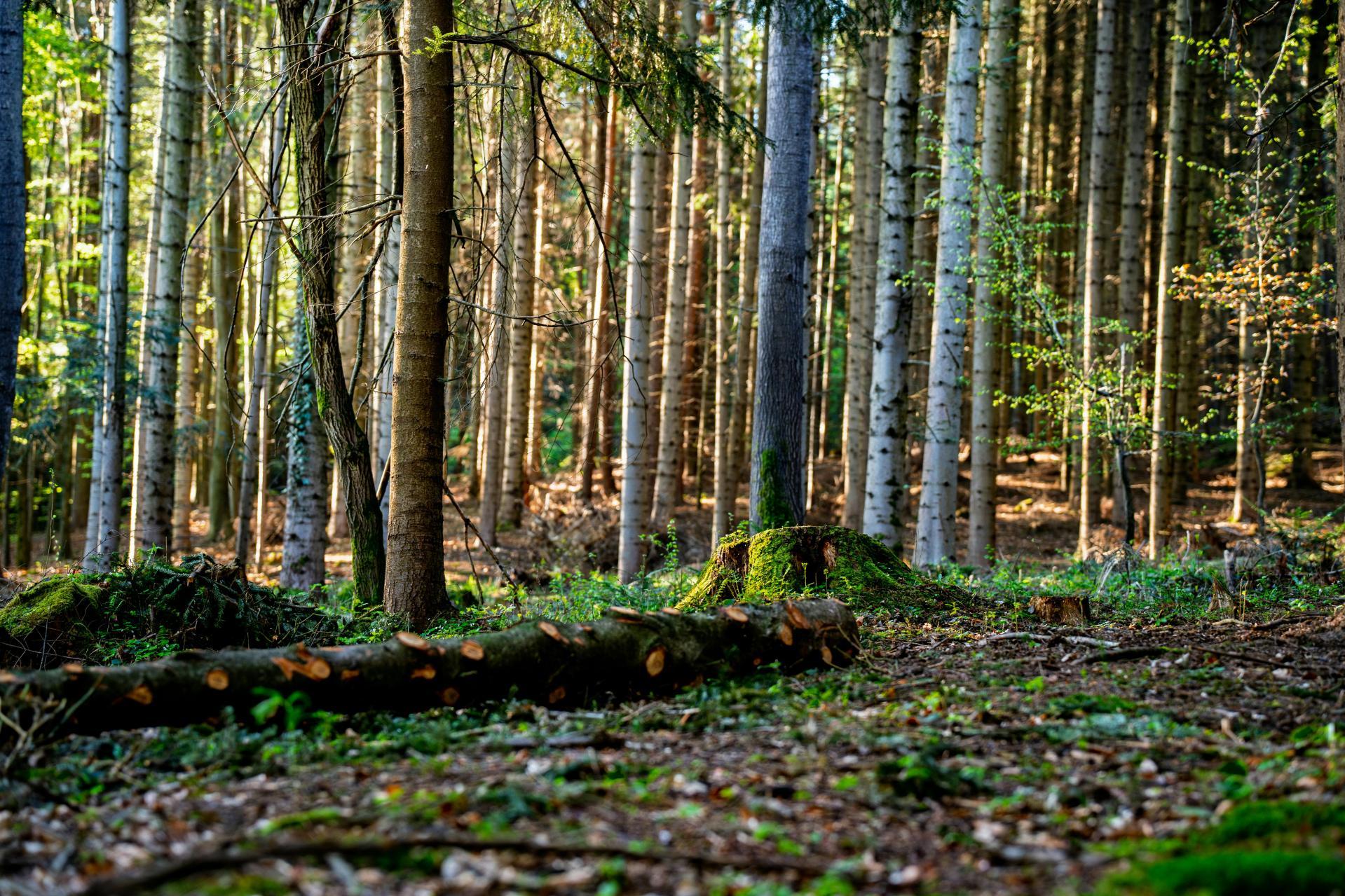 Miliony do wzięcia i mądrego wykorzystania