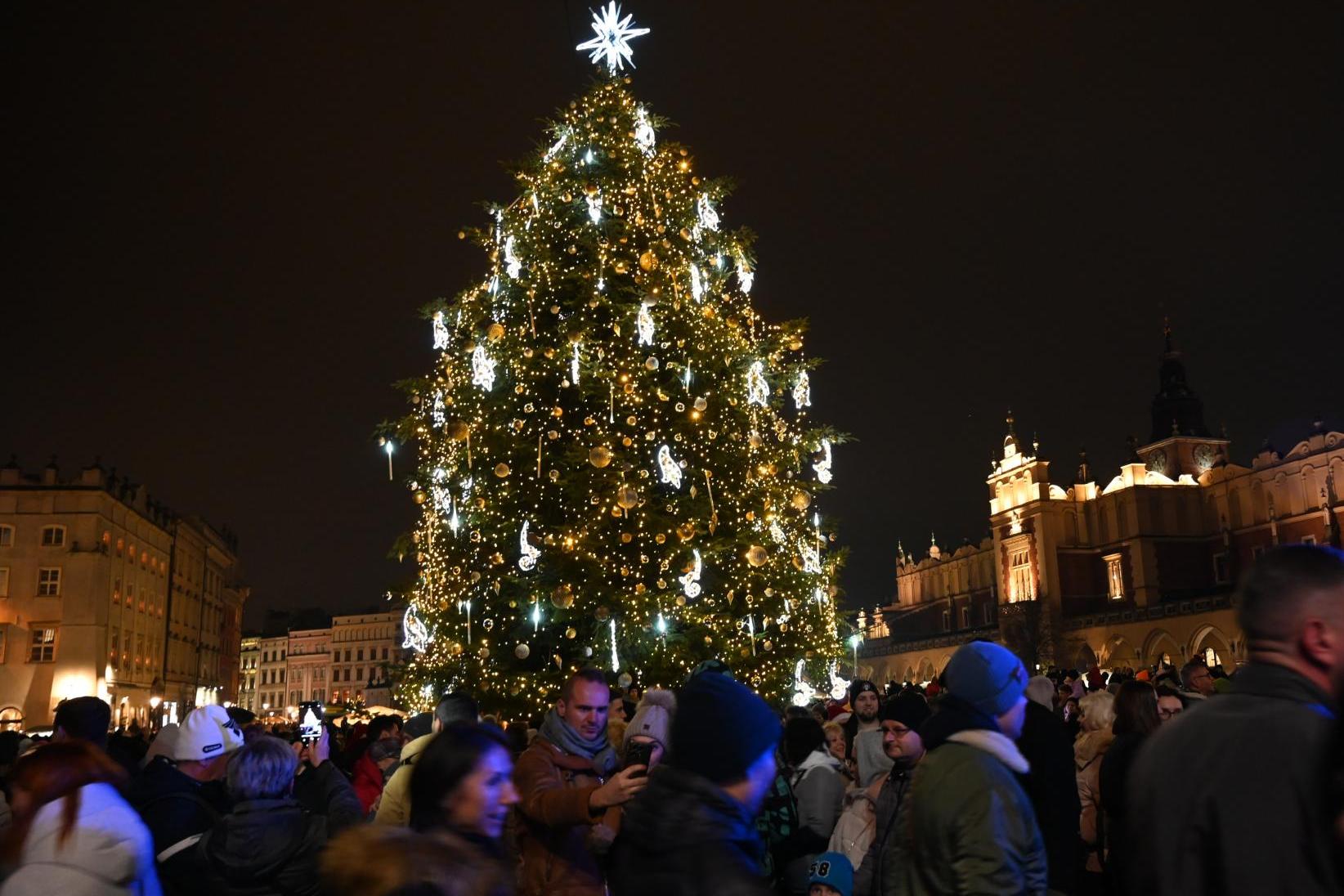 Ma 15 metrów i zdobi ją 500 nietłukących się baniek - rozbłysła choinka na Rynku Głównym w Krakowie