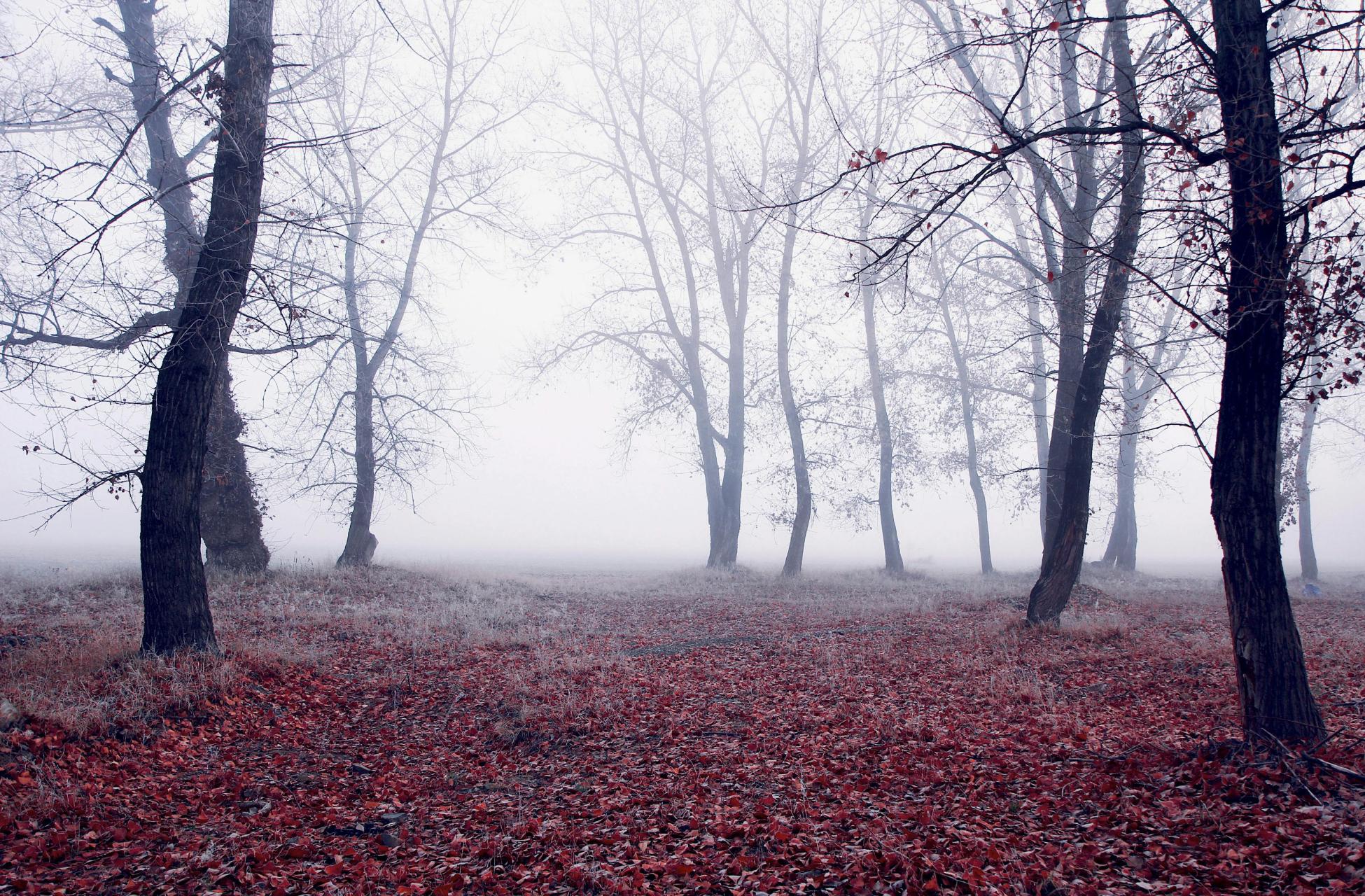 Prognoza pogody dla Małopolski: ocieplenie, mgły, opady i choćby 11°C