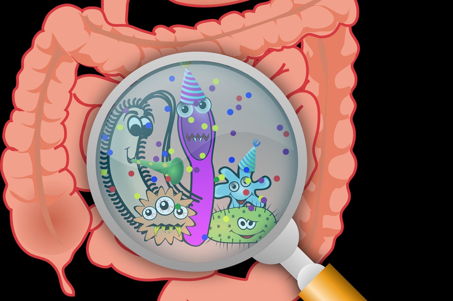 Co mówią o nas jelita? Mapa Mikrobiomu Polski odsłania kulisy zdrowia Polaków