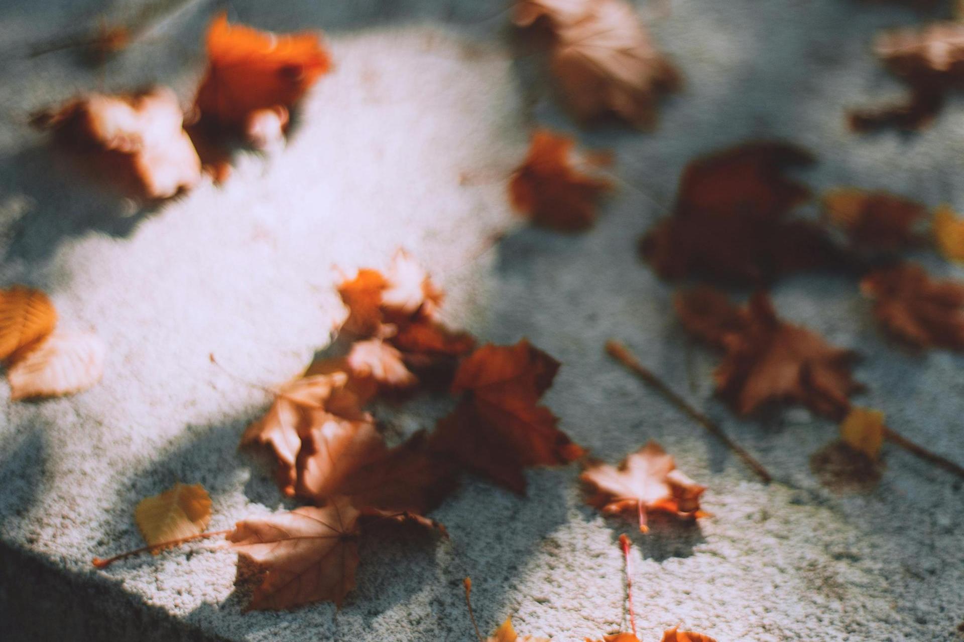 Godny pochówek po stracie. Zbiorowy pogrzeb dzieci martwo urodzonych w Zakopanem