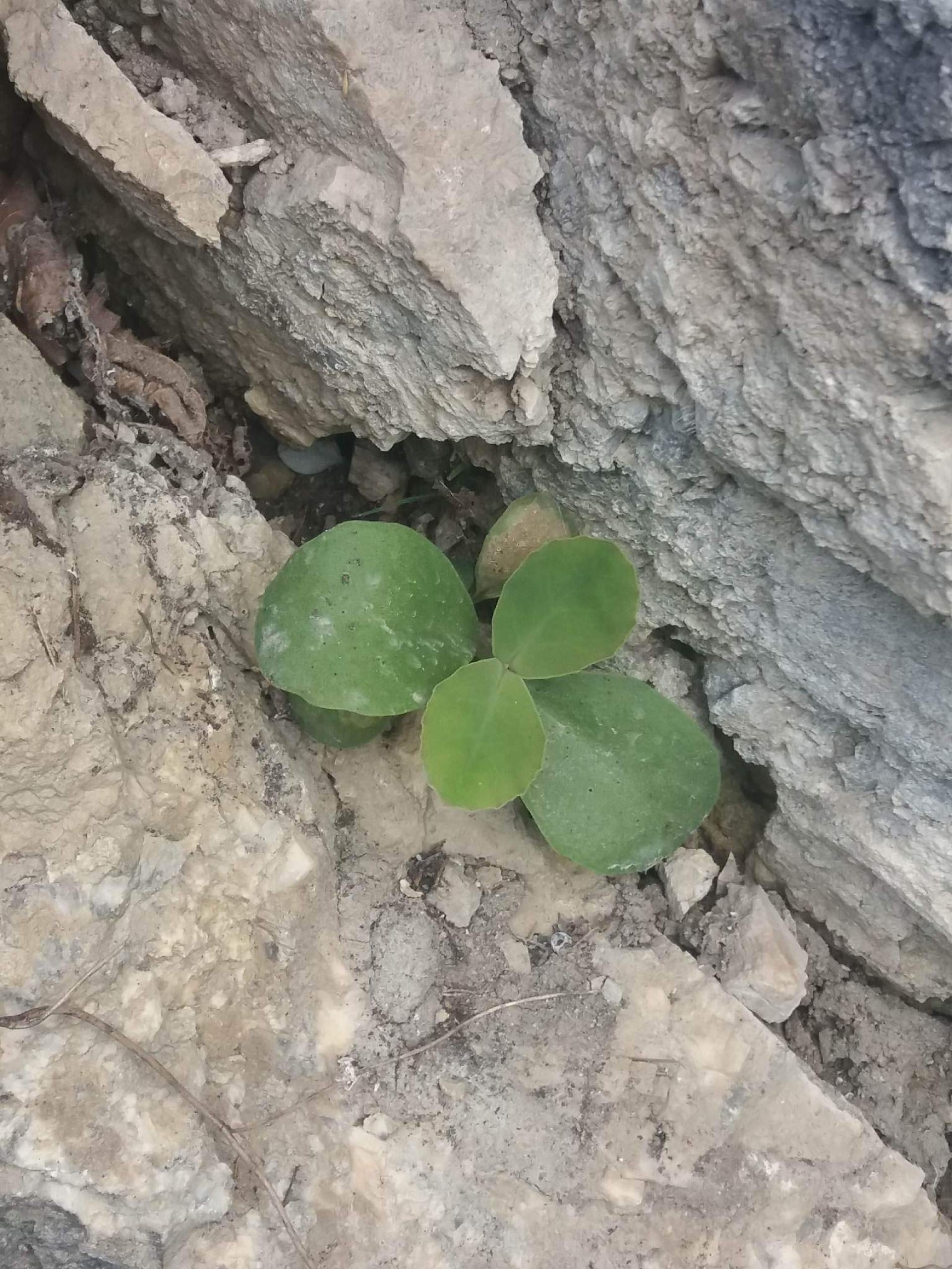 "Samotność seniora" - reportaż Ewy Szkurłat