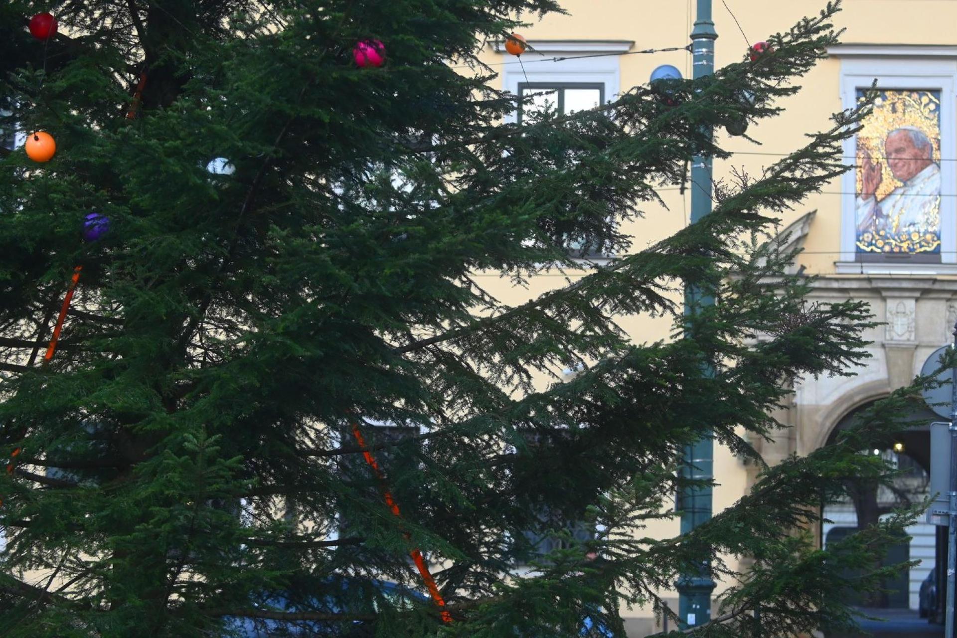Choinka przed oknem papieskim w Krakowie rozbłyśnie w tym roku później niż zwykle